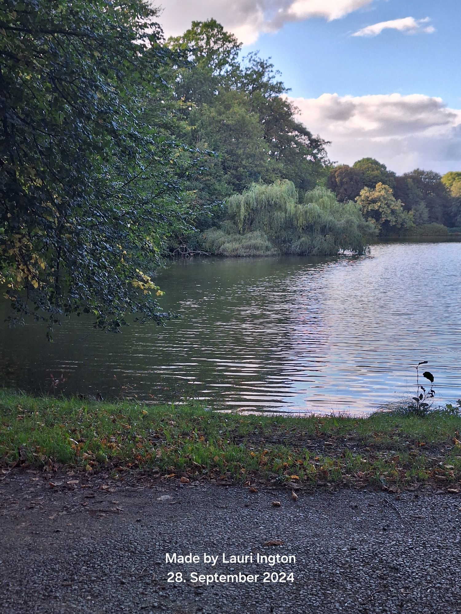 Blick auf den großen Teich mit Spiegelung des blauen Himmels