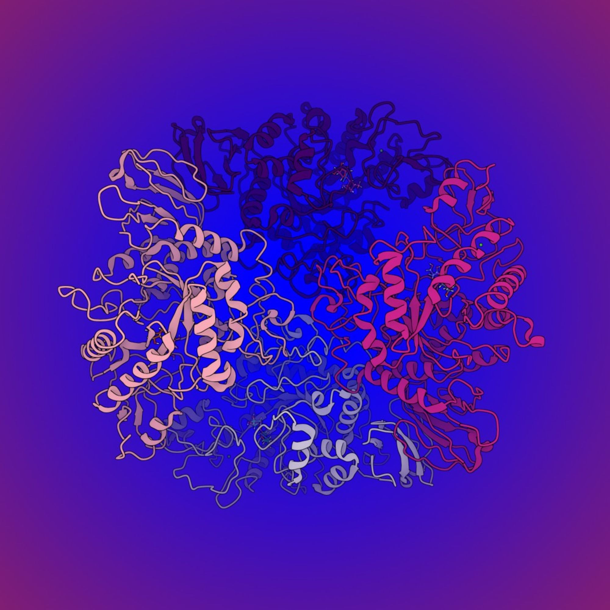 Four subunit protein TreS with each subunit a different shade of pink or purple against a red edges fadding to blue in the centre.