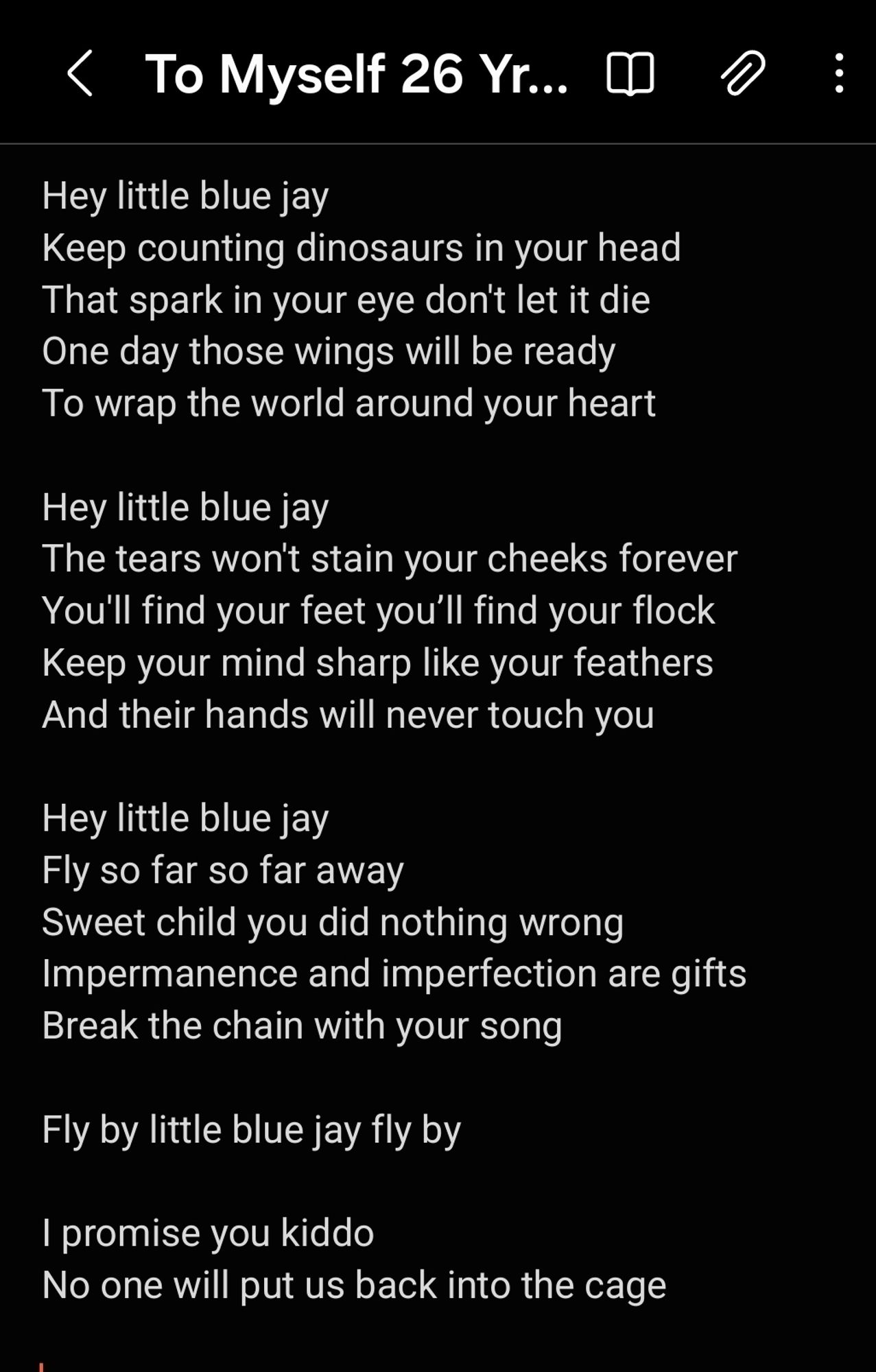 Hey little blue jay
Keep counting dinosaurs in your head 
That spark in your eye don't let it die 
One day those wings will be ready
To wrap the world around your heart

Hey little blue jay
The tears won't stain your cheeks forever
You'll find your feet you’ll find your flock
Keep your mind sharp like your feathers
And their hands will never touch you

Hey little blue jay 
Fly so far so far away
Sweet child you did nothing wrong
Impermanence and imperfection are gifts
Break the chain with your song

Fly by little blue jay fly by

I promise you kiddo
No one will put us back into the cage