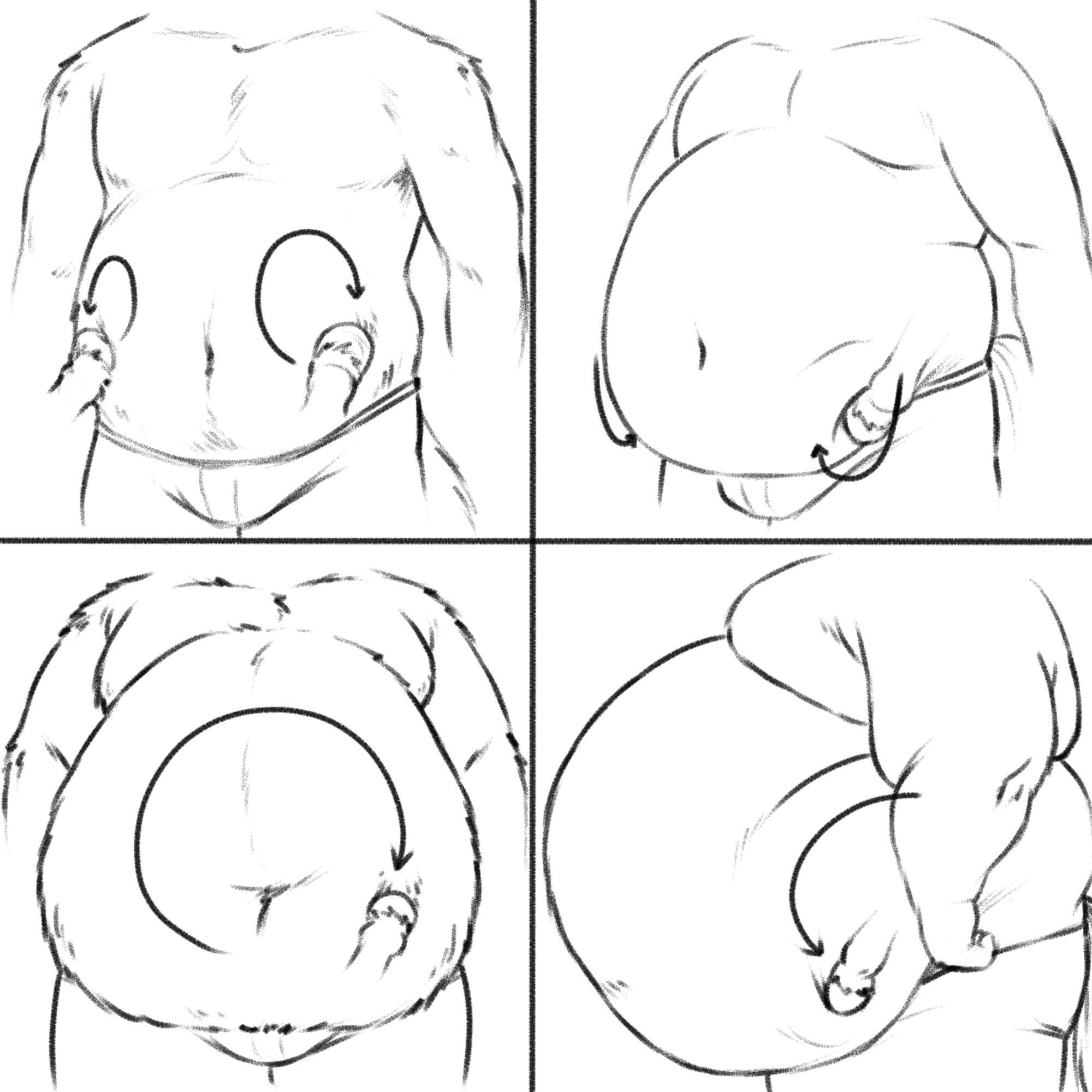 A series of 4 images showing differently shapes bellies being rubbed in different ways