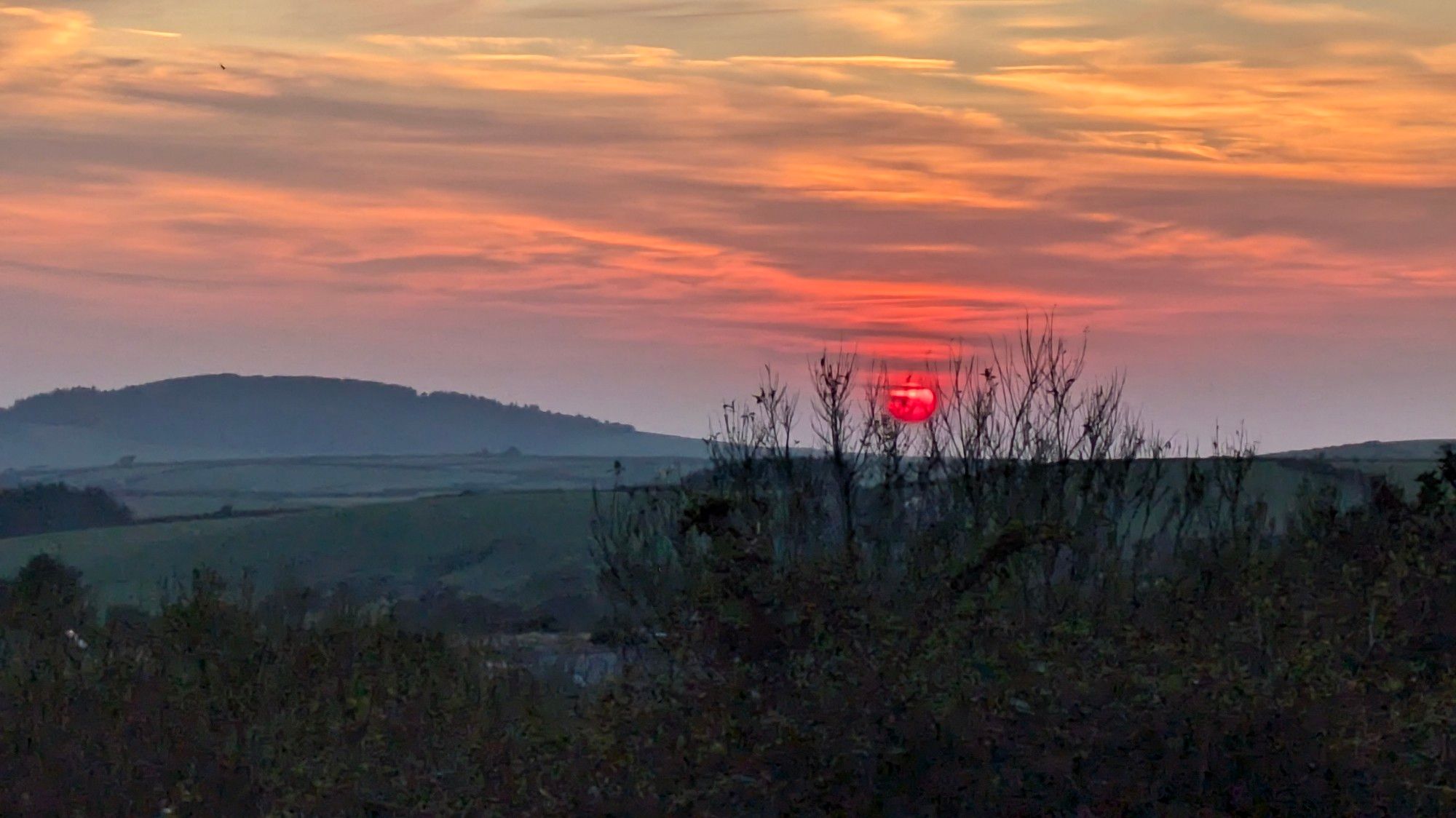 Red orange sunset seen through the silhouette of tree tops. 

Sky has feathers of red, orange, purple and grey clouds. 

There is a tree covered hillside on the horizon and green fields in the mid ground.