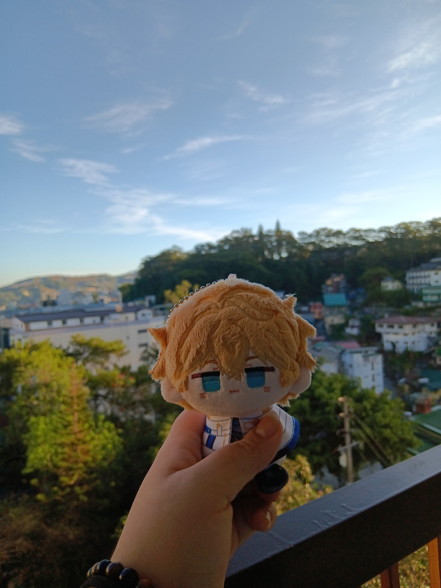 a plush of gepard landau from honkai star rail held up against a scenery of the sky, buildings, and trees