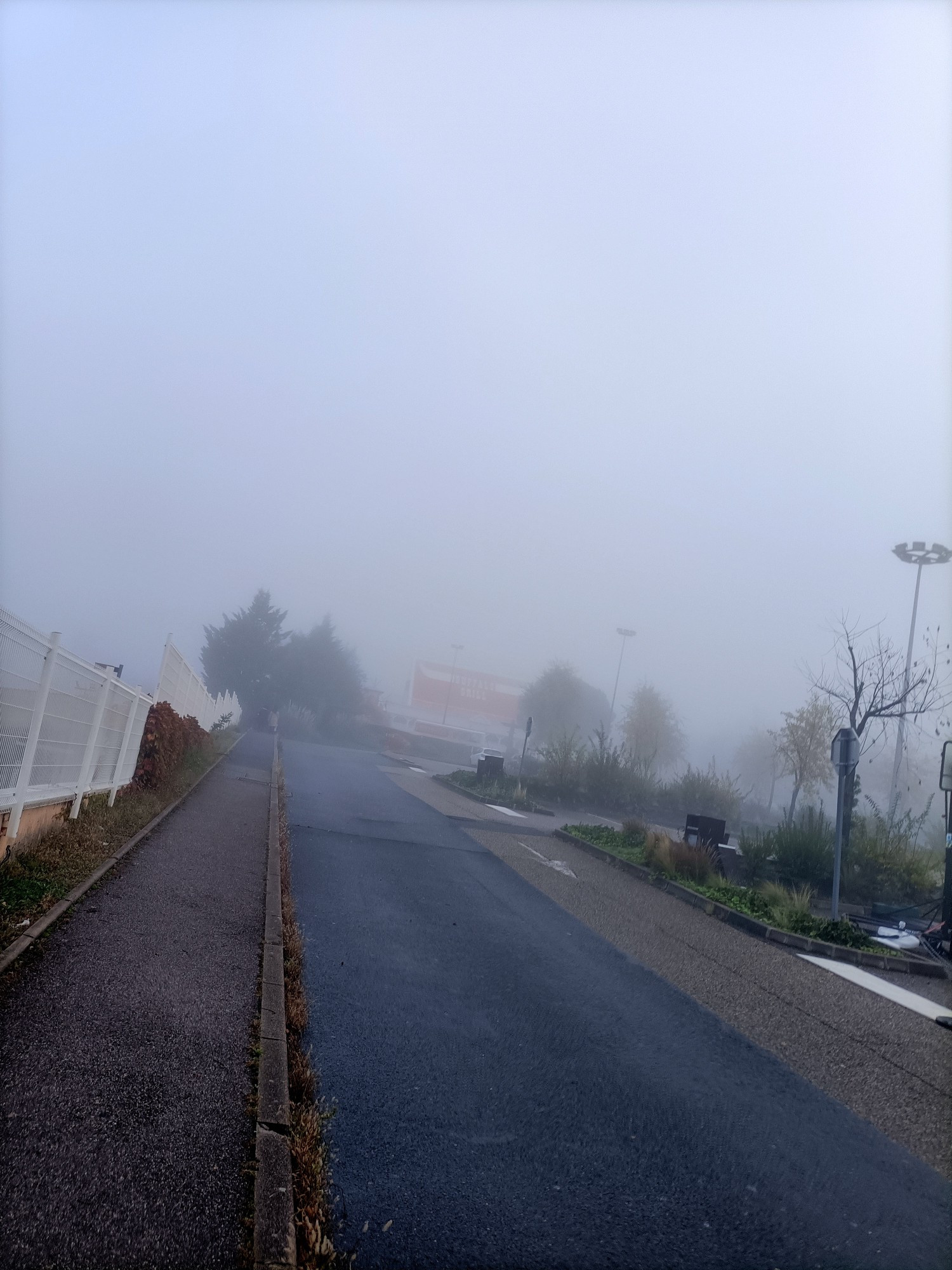 Photo d'une route en montée, à droite un parking, et devant un gros brouillard dense, on distingue à peine les arbres