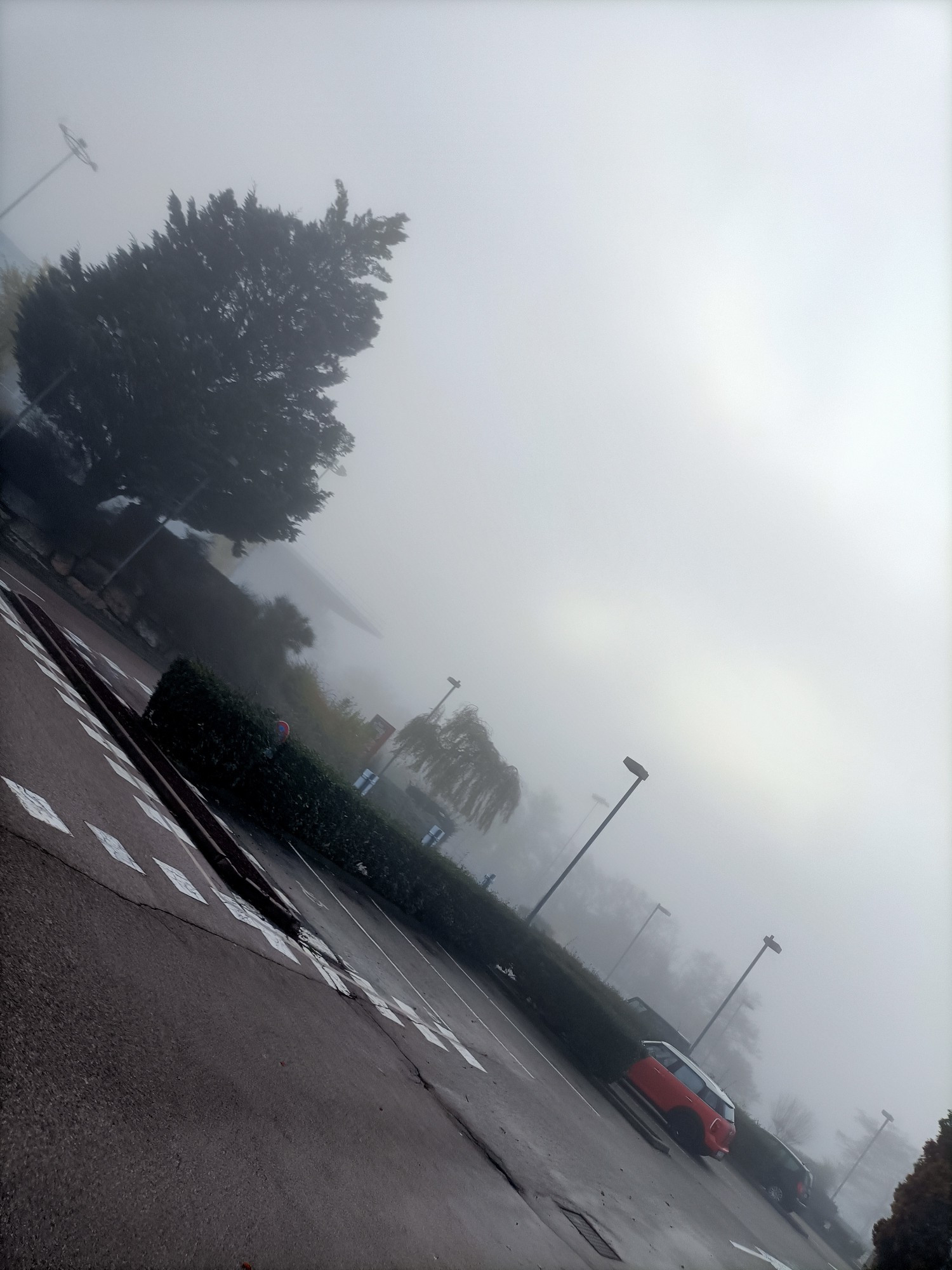 Photo parking , brouillard dense et gris, grand arbre à gauche , personne de visible , une voiture rouge à droite 