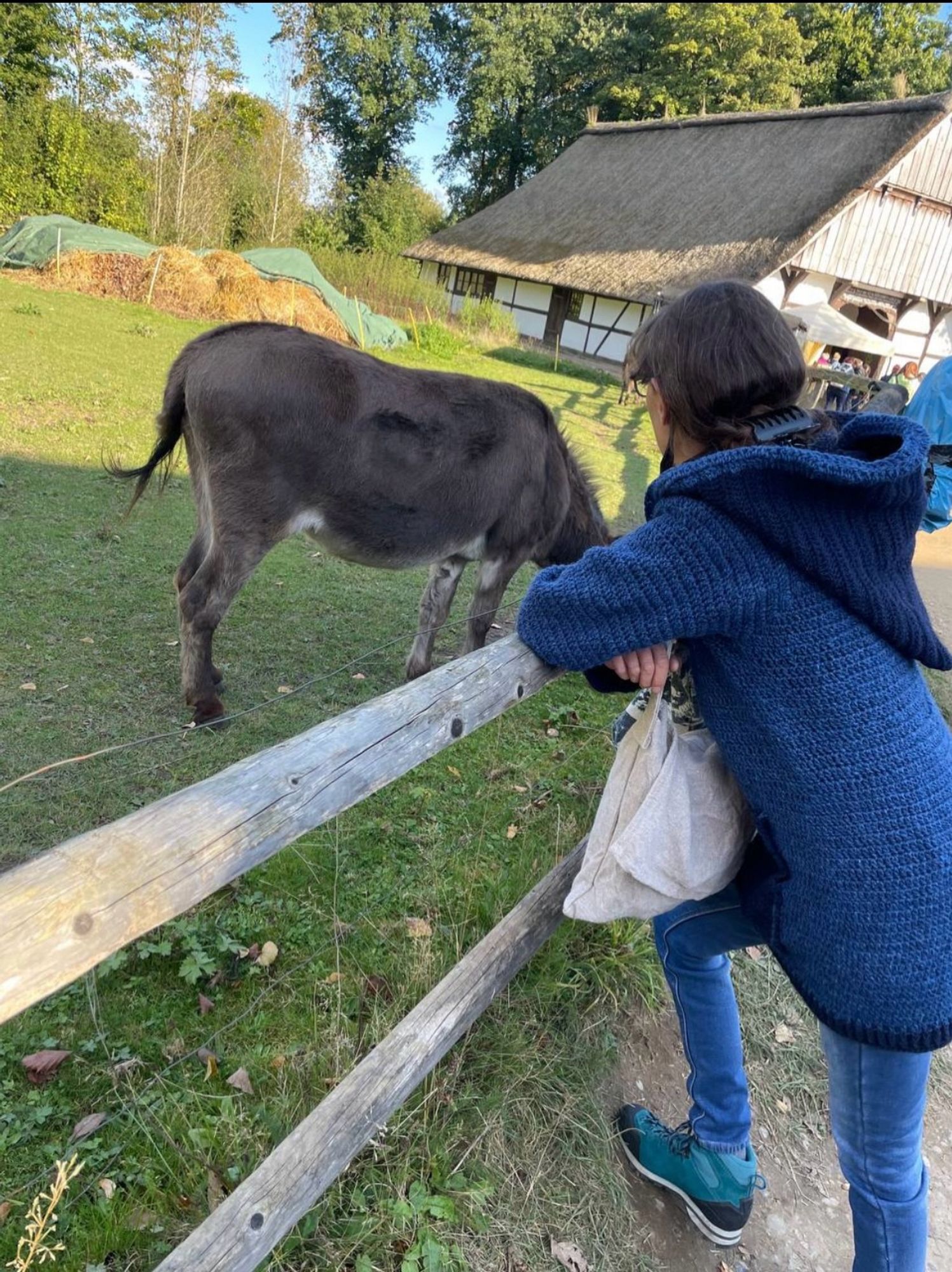 Im Freilichtmuseum Molfsee stehe bei den Esel u schaue ihnen einen Moment zu wie sie grasen.