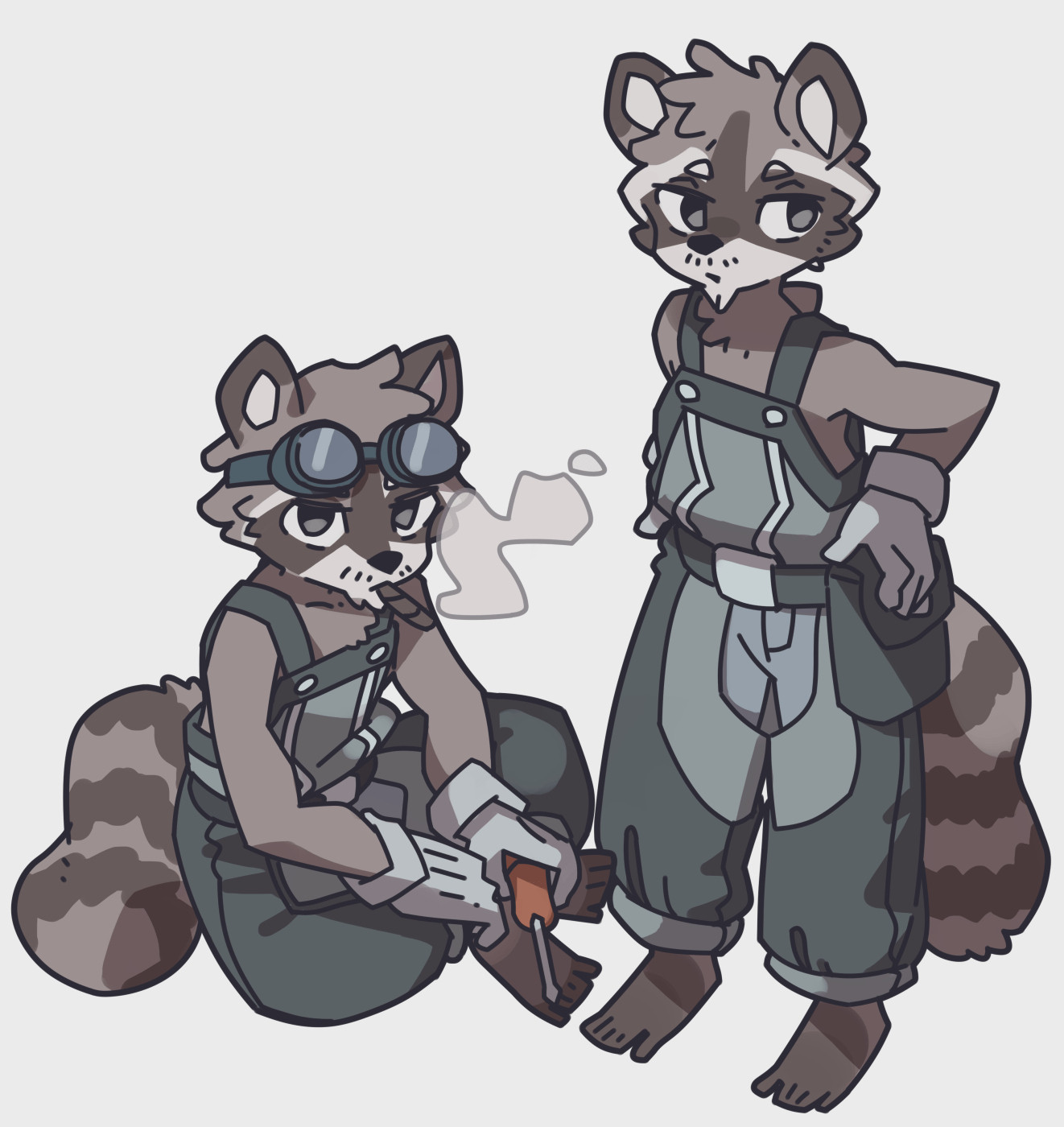 raccoon 🦝