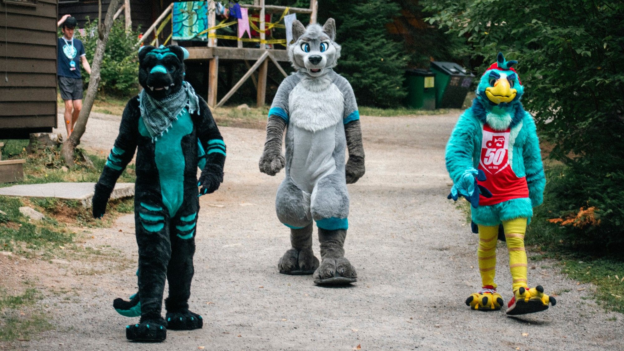 Photo of three fursuiters walking down a dirt path away from a cabin. Featuring Blazen (Dragon) on the left, Zyer (Wold) in the center, and Adler (Eagle) on the right with our friend Mikeh (unsuited) in the back.