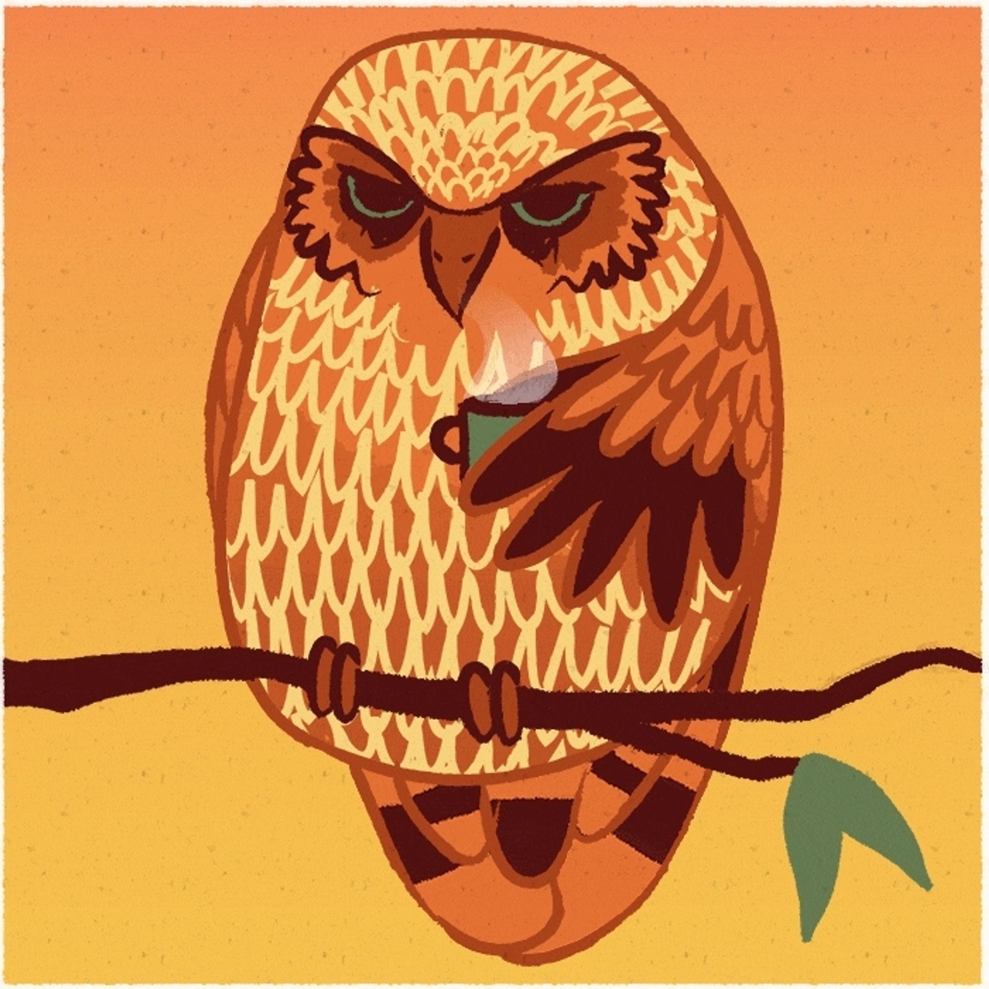 Hibou orange, avec ses cernes et son café