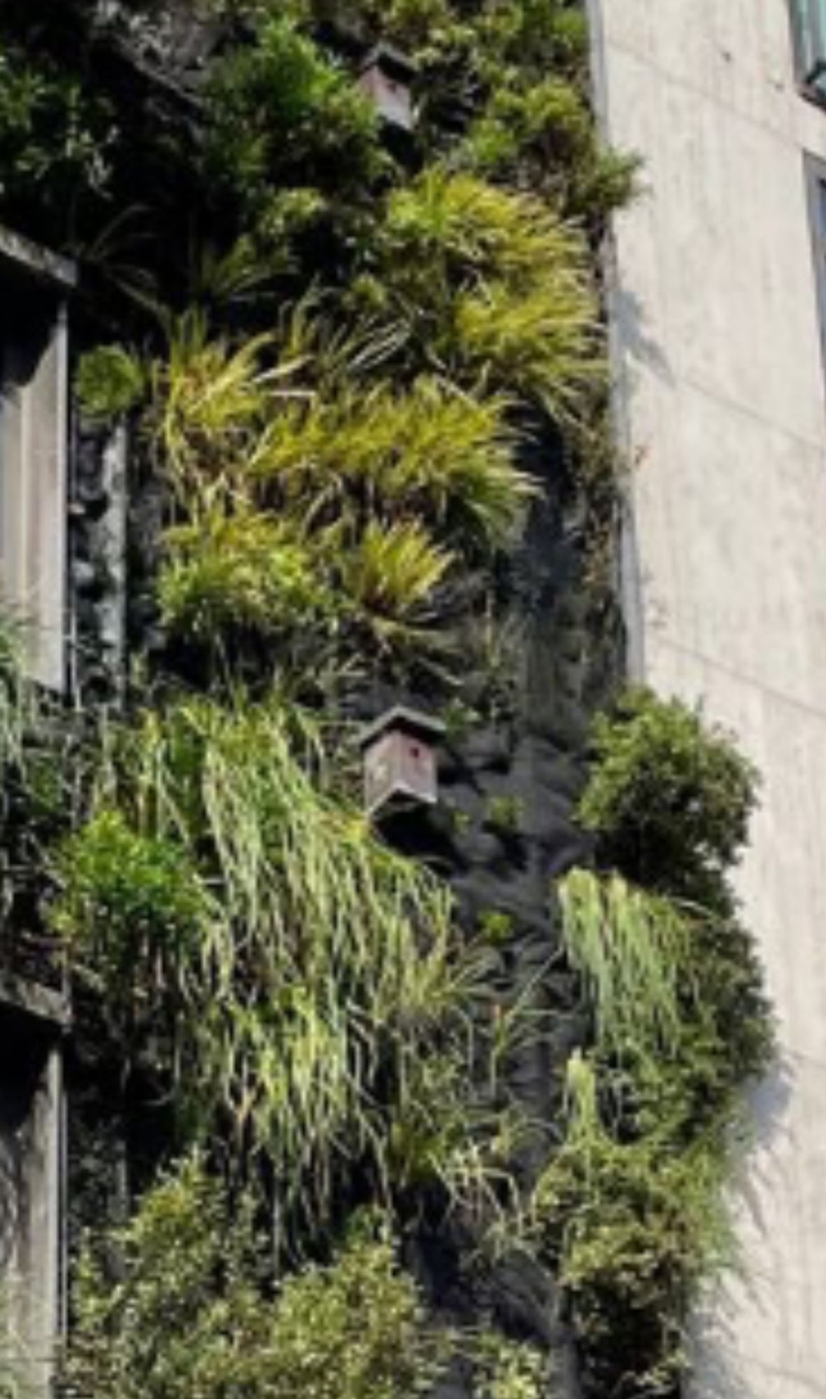 A screenshot of a vertical garden with two nest boxes visible.