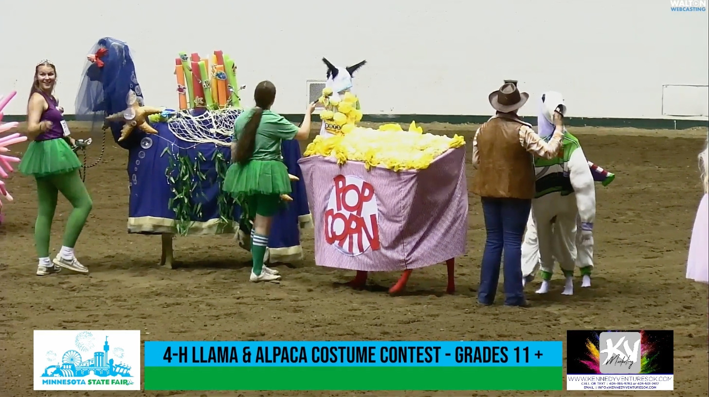 Screenshot of llama costume competition with one llama in the foreground prominently dressed as an enormous bag of popcorn.