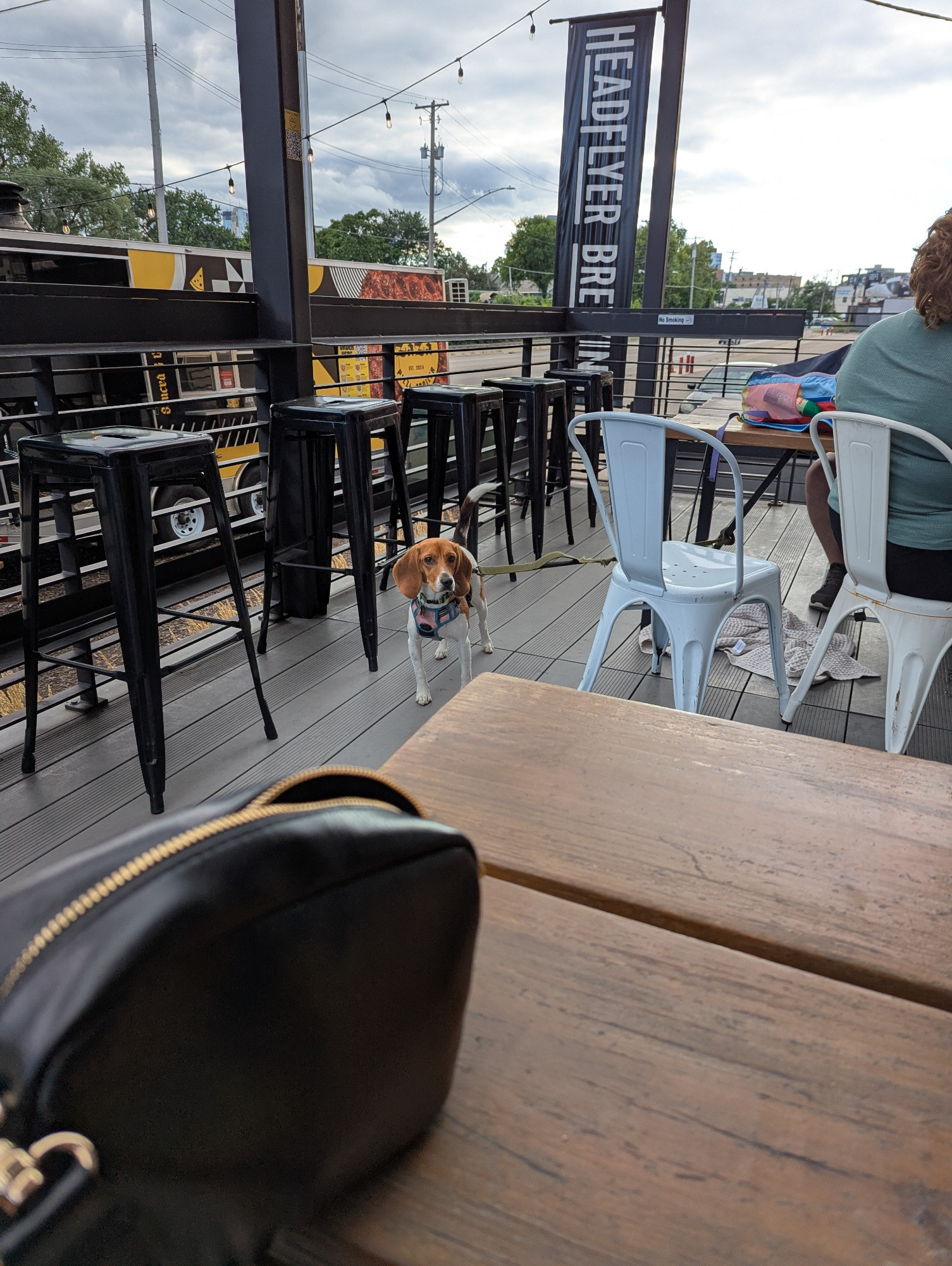 Beagle puppy at at Brewery.