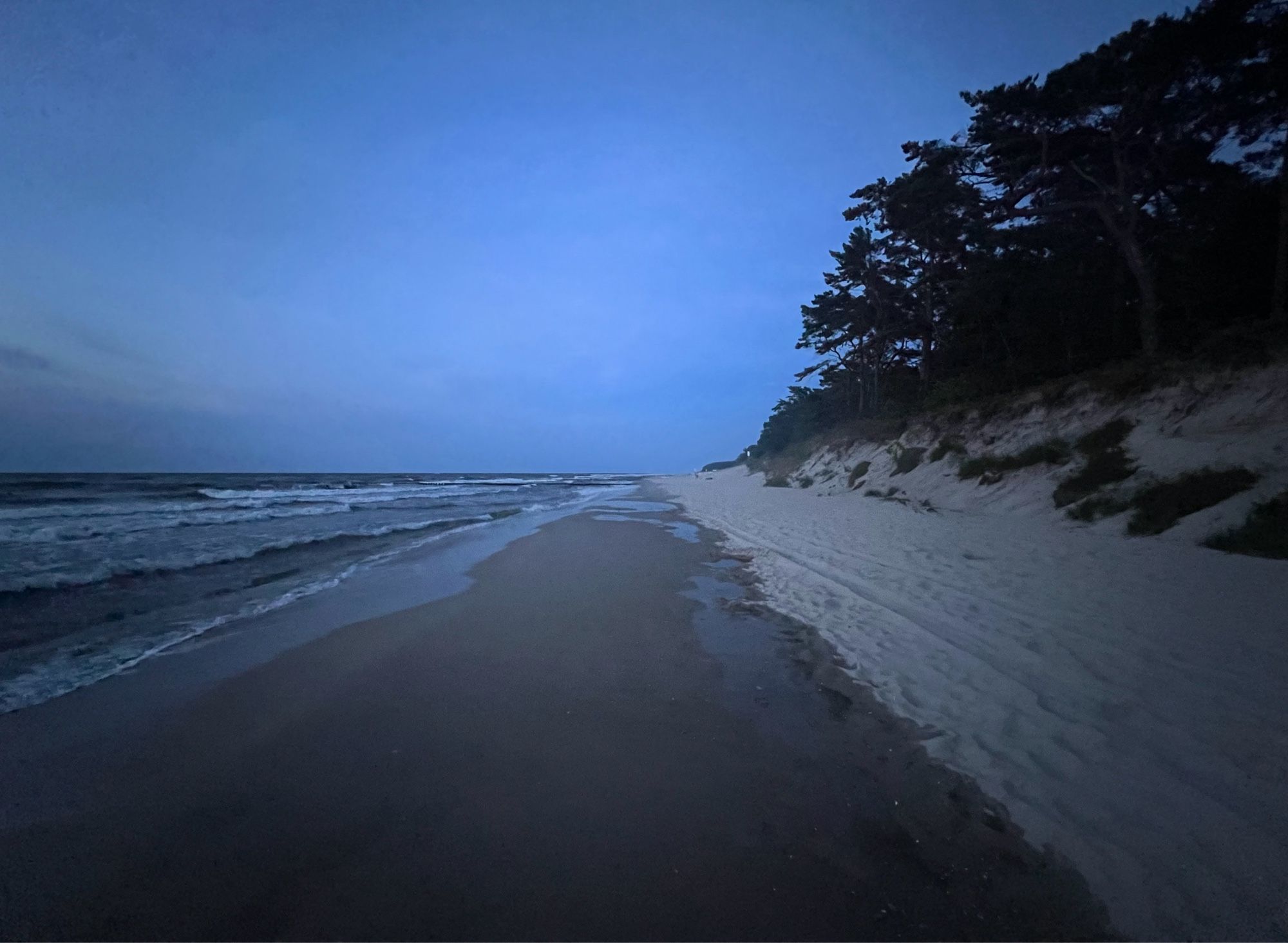 Das unruhige Meer mit kleinem Wellengang drückt auf dem Sandstrand. Der nicht feuchte Bereich des weißen Strandes ist nur noch ein paar Meter breit, danach geht die Düne steil hoch. Dahinter Kiefern. Der Himmel ist blau bis dunkelblau, die Sonne ist vor 20 Minuten untergegangen.