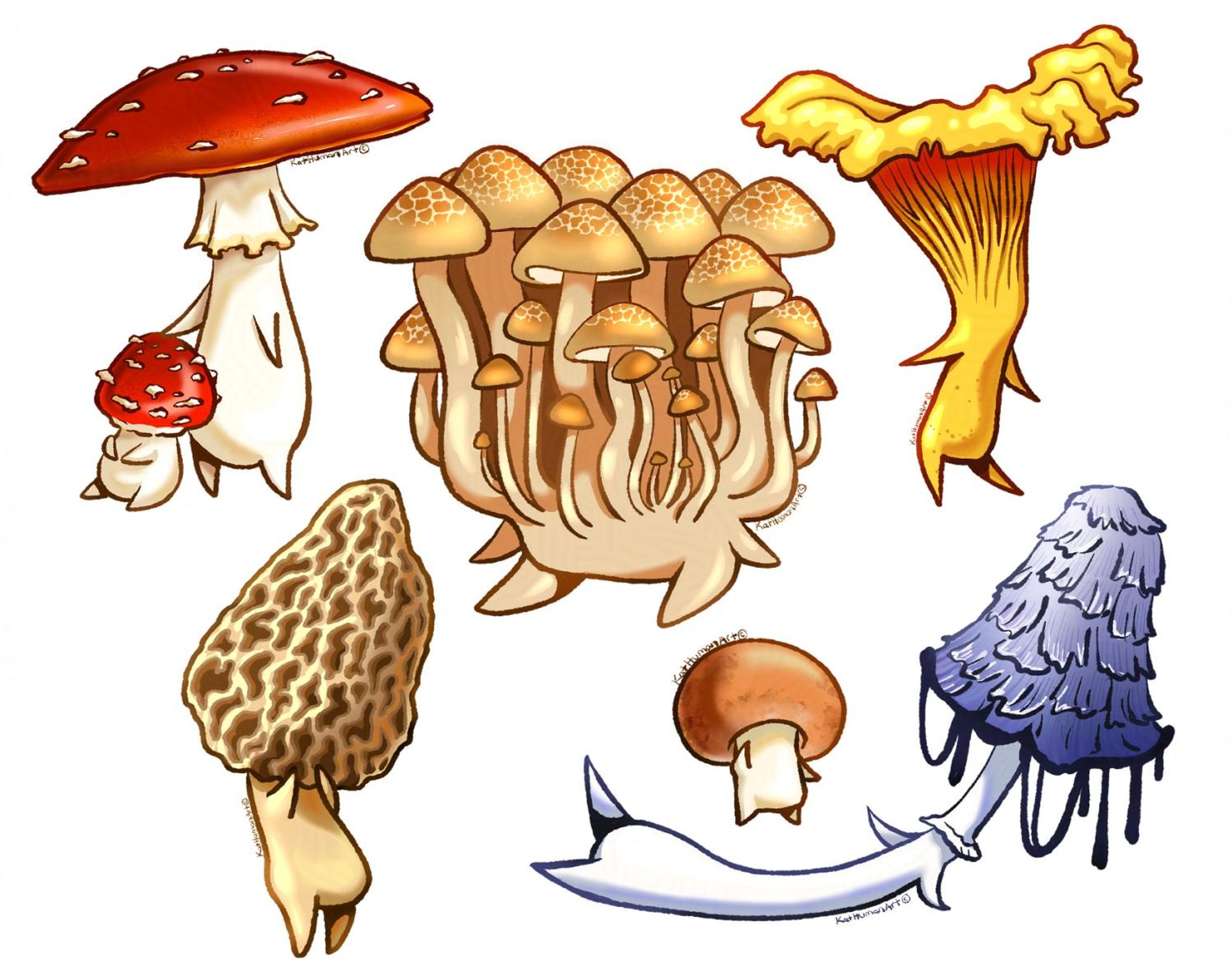 A collection of little mushroom people based on several types of mushrooms.