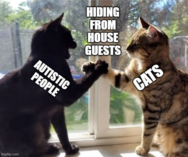 Two cats doing a predator handshake 
Cat 1: Autistic people 
Cat 2: Cats
Joined: Hiding from House Guests