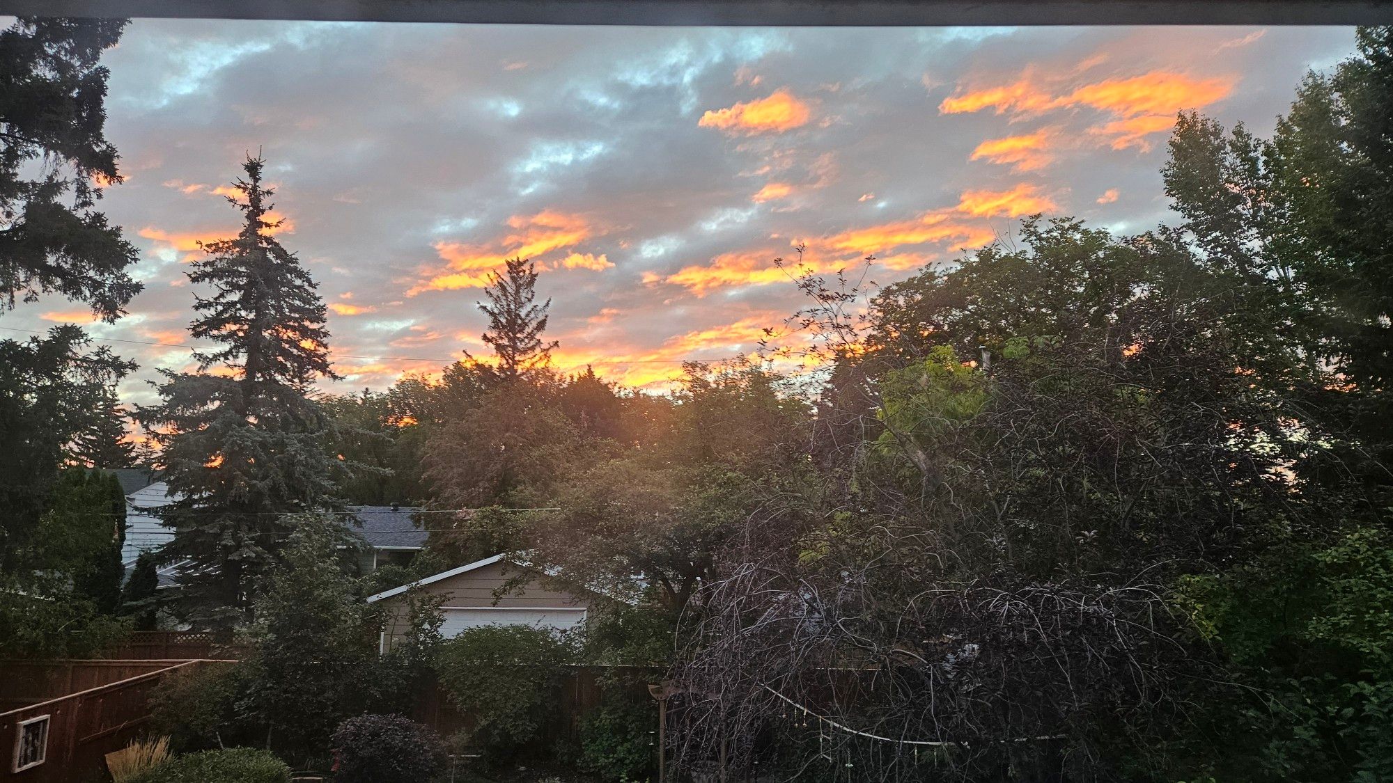 A sunrise in bright orange views through a window. A backyard with trees is in the foreground. (Photo)