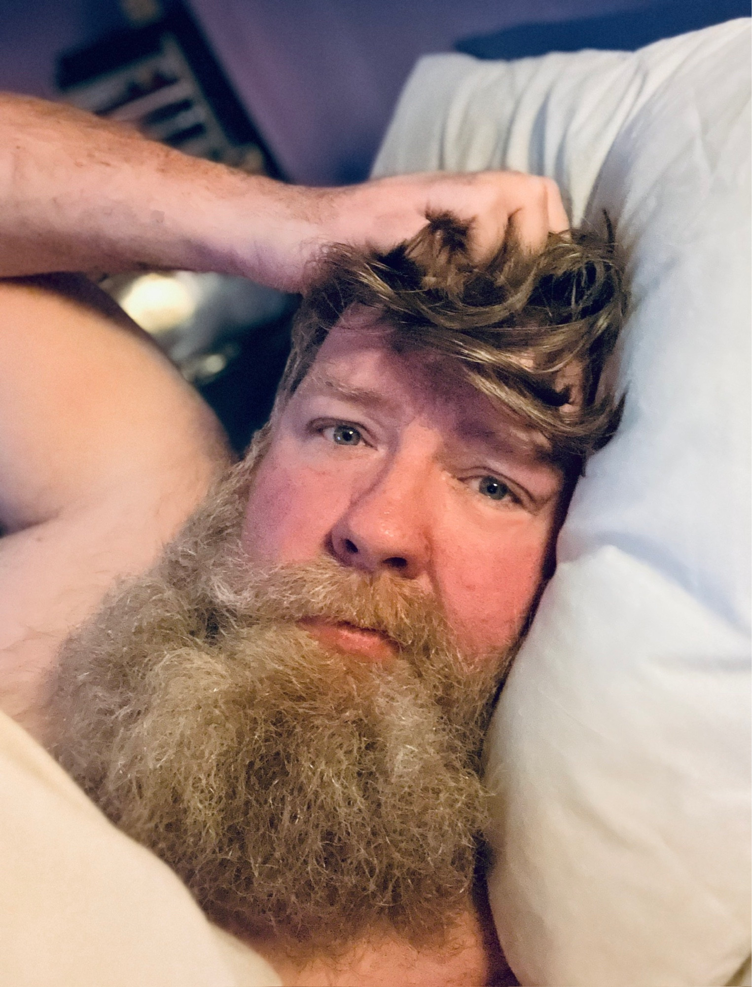 The account holder — white, bearded and 47 — in bed, dishevelled but dreamy