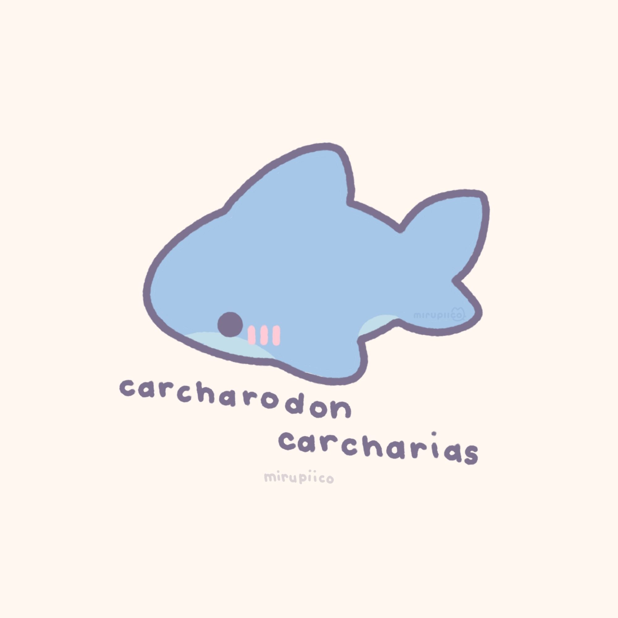 a very simple blue small silly shark illustration with "carcharodon carcharias" written below