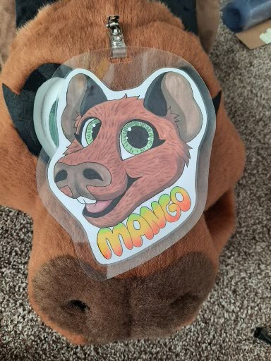 A traditionally drawn badge featuring the headshot of a capybara character & her name, Mango, written below. The badge is sitting on top of the capybara costume head.