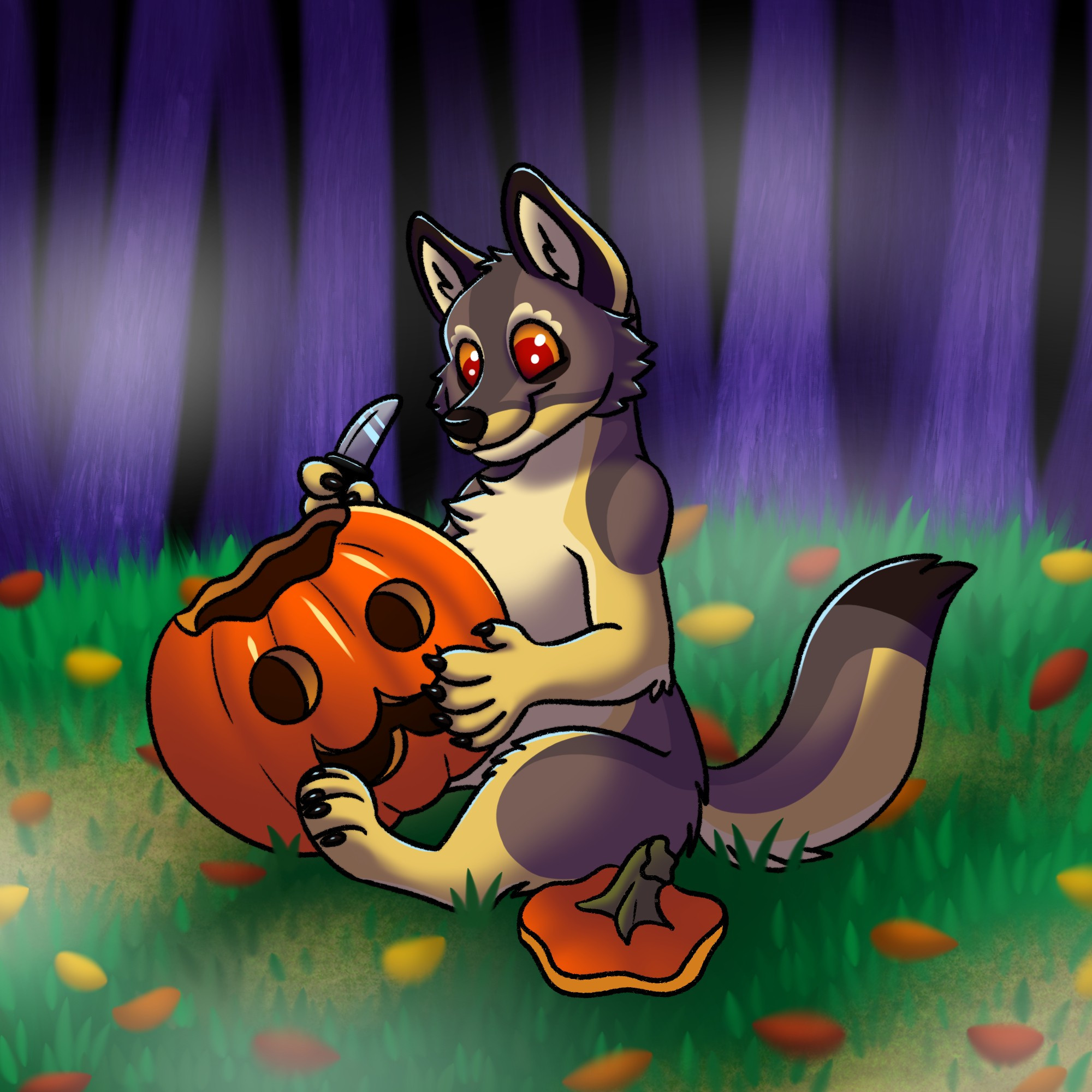 A brown and cream colored timber wolf sitting and carving a pumpkin.