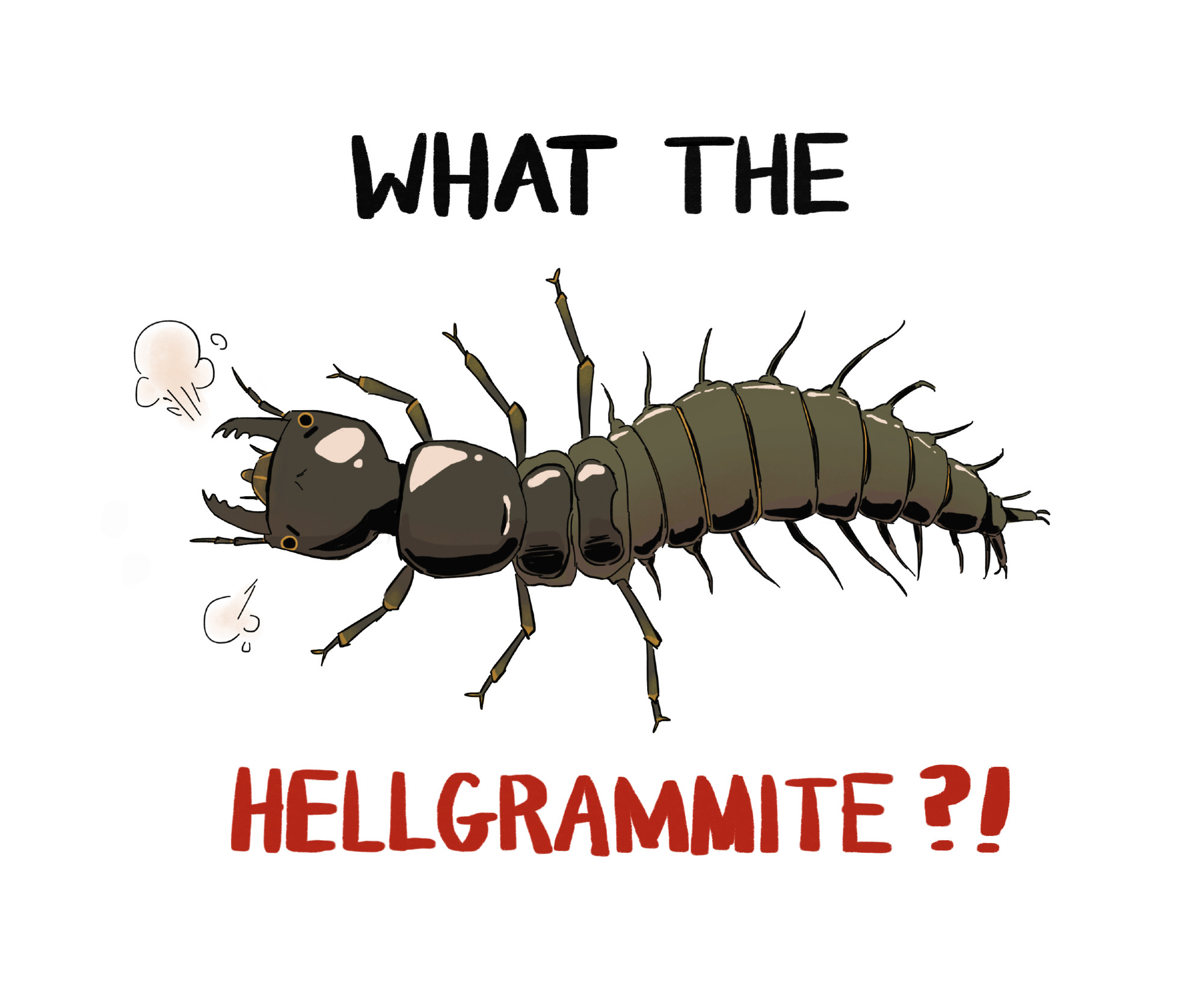 cartoonish drawing of an angry hellgrammite. reads "what the hellgrammite"