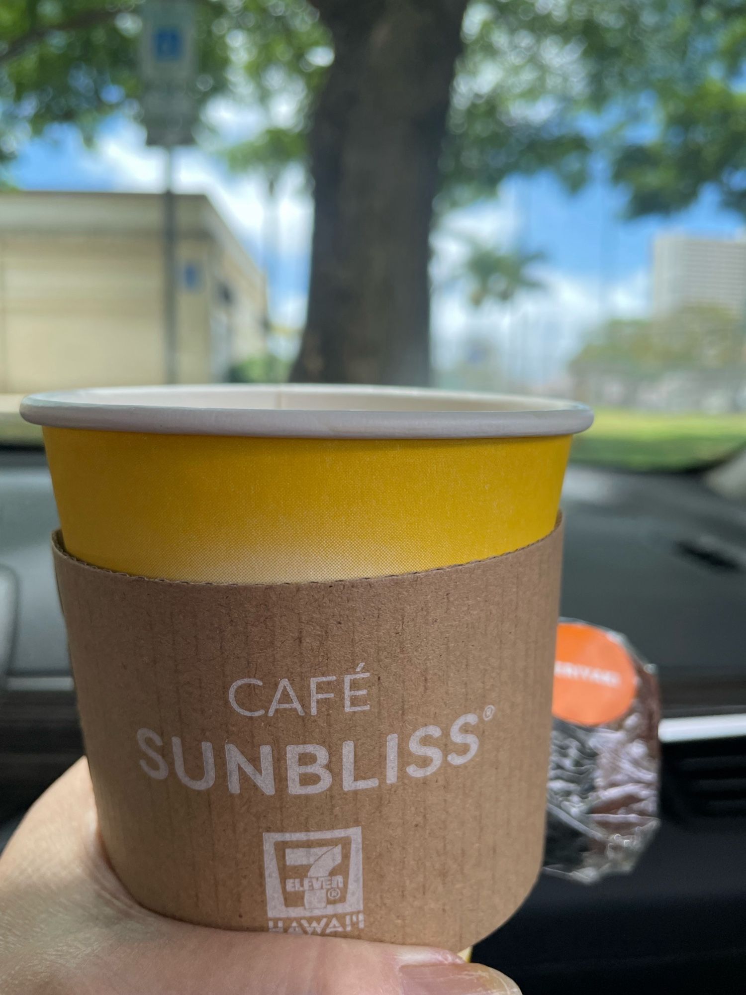 Mocha and Spam musubi in the car. At the neighborhood park.