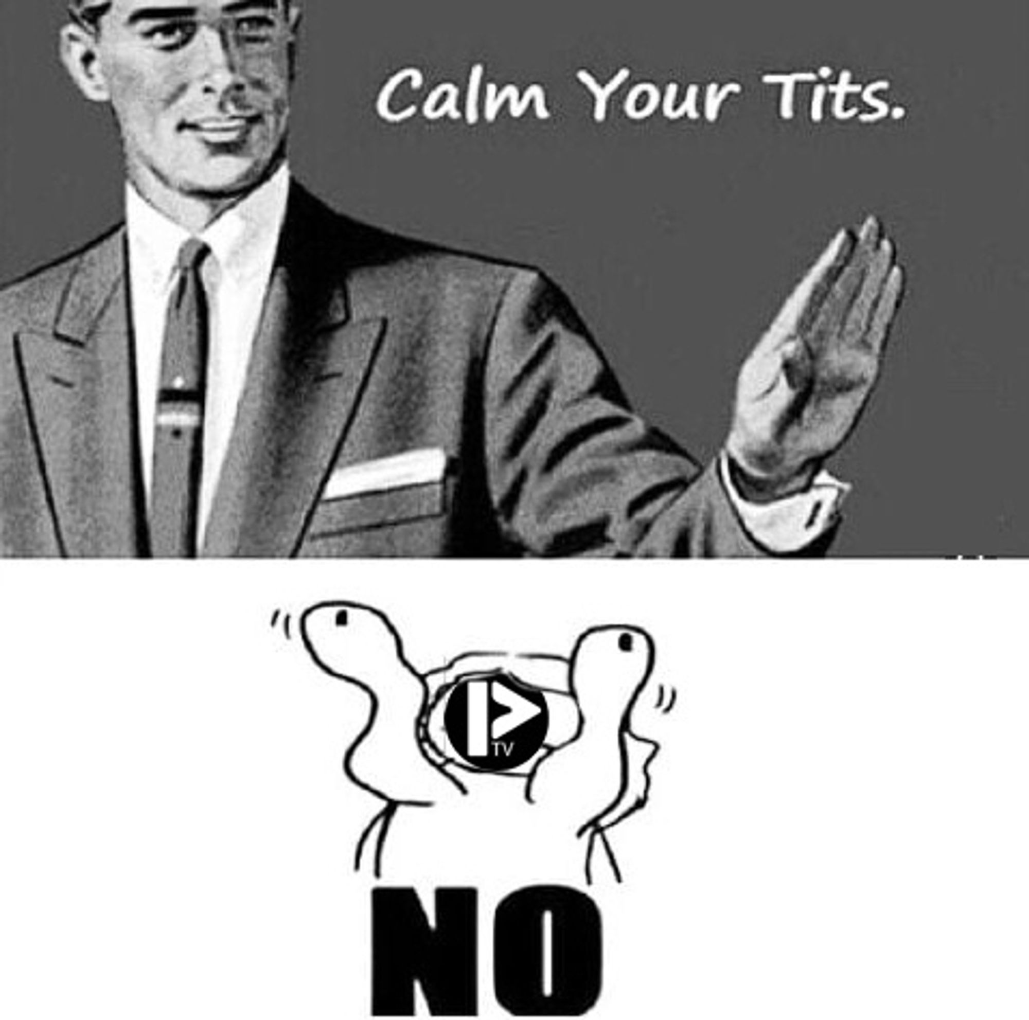 The top half of the image shows a well-dressed man, kindly asking someone to "Calm Your Tits".  The lower half of the image is a crudely-drawn person with the Picarto.tv logo on their face.  Her breasts appear to be the exact opposite of calm, flailing about like two ferrets in a tube sock.  At the very bottom of the image, the word "NO" can be seen written in a very bold font.