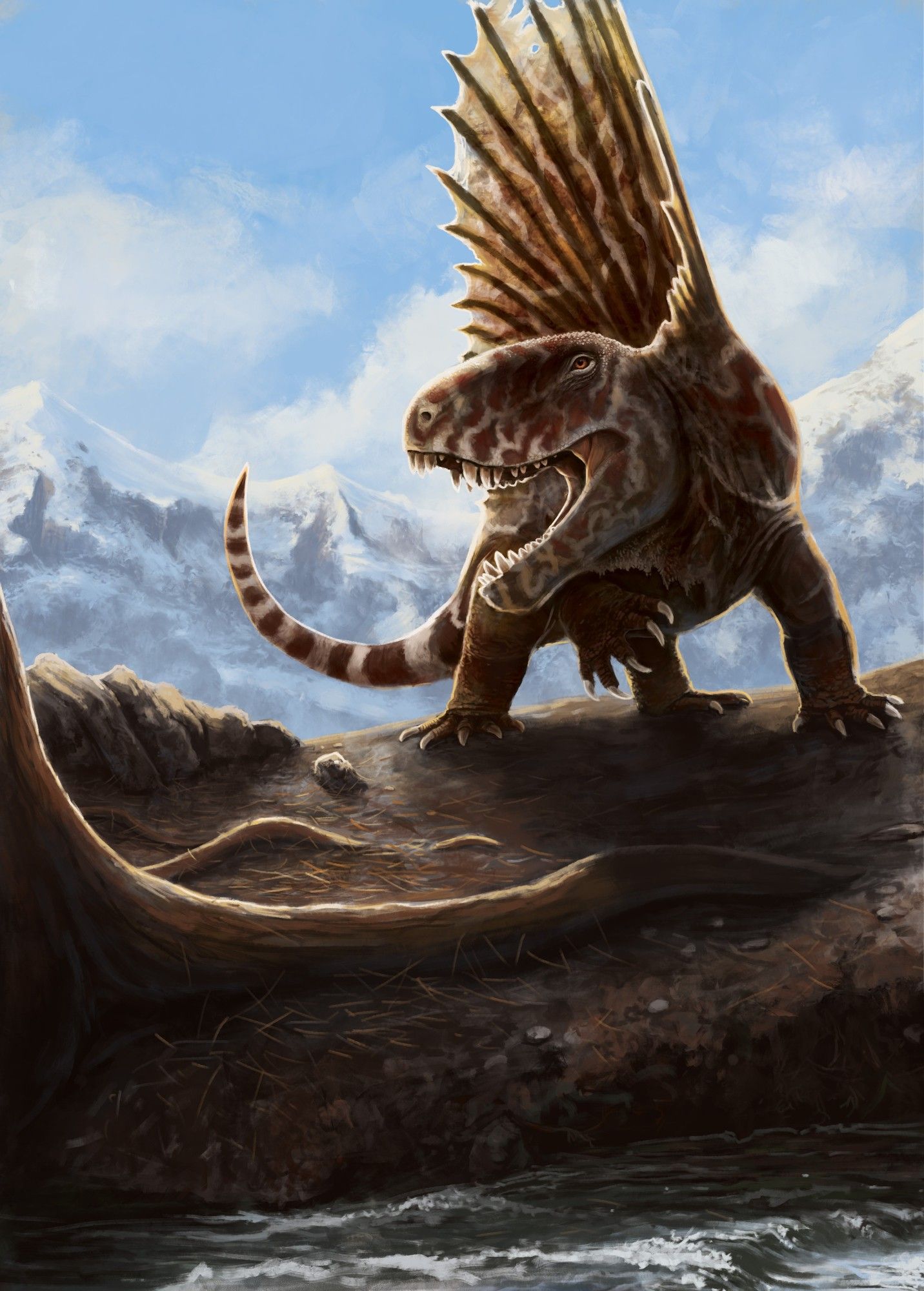 Dimetrodon, an ancient relative of mammals, stands about roaring dramatically. It was for a trading card, don't think about the logic too much here.