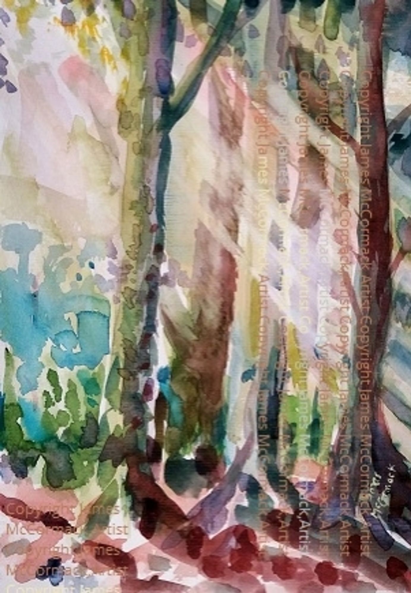 Sunlit Trees.
Watercolour of trees in sunlight , rays of light and shadow, painted from sketches in Parque Augusta, (Augusta Park), Brazil.