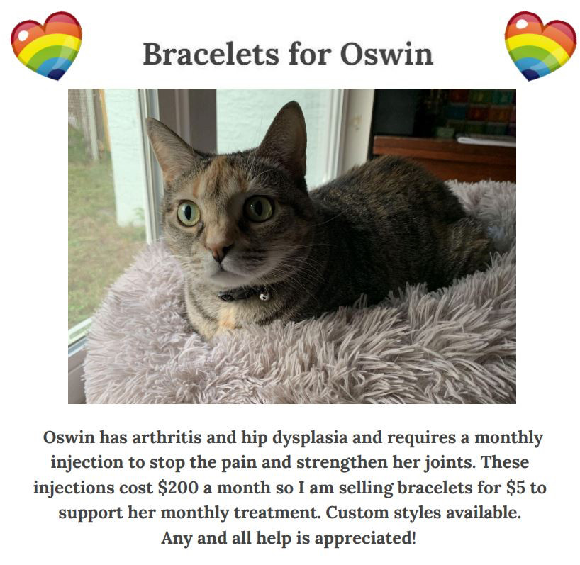 Image of my cat, Oswin, with a description stating that she has arthritis and hip dysplasia that requires a monthly injection to treat it, which costs $200/month. 