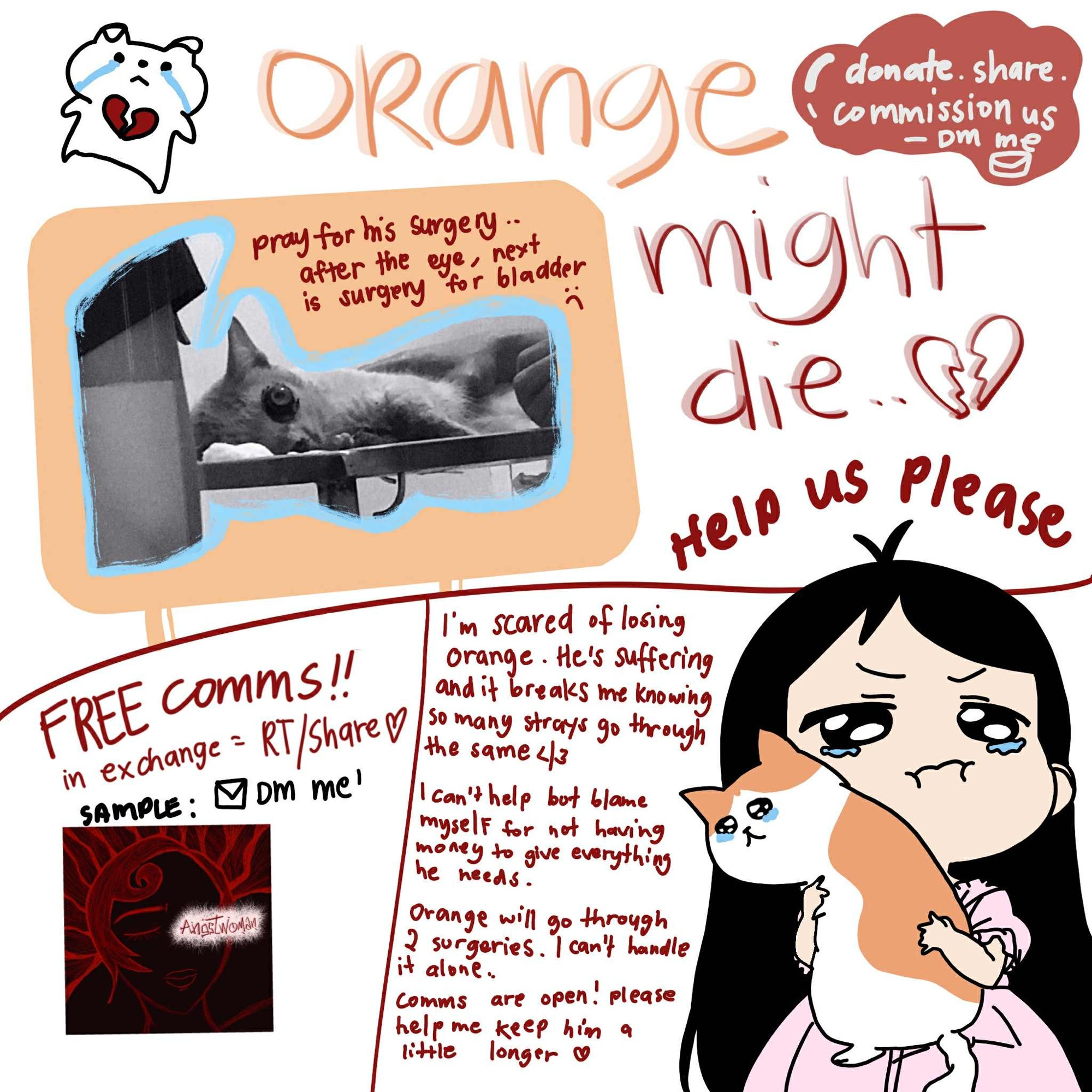 Cat donate help surgery mutual aid 💕💸