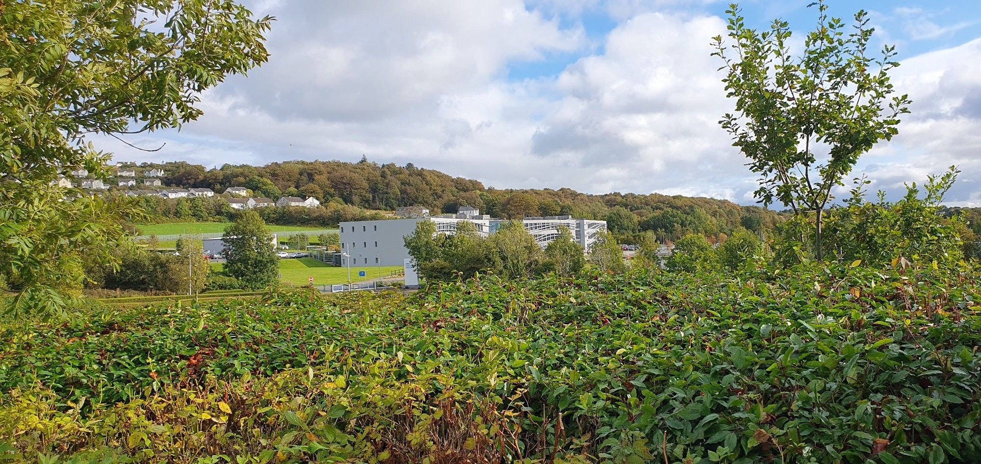 Photo of nature with some buildings in the distance