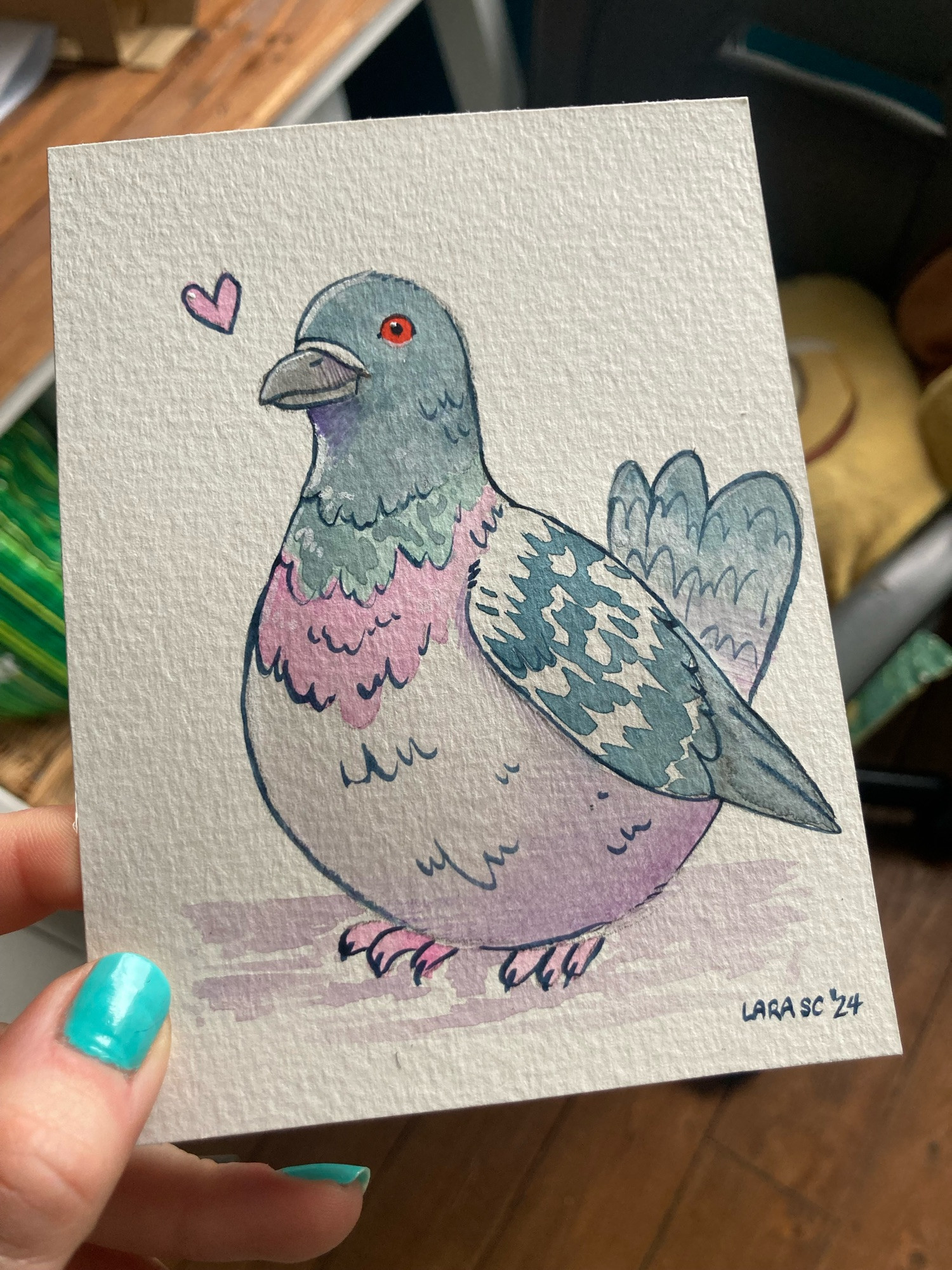 A chunky feral pigeon painted in water colour