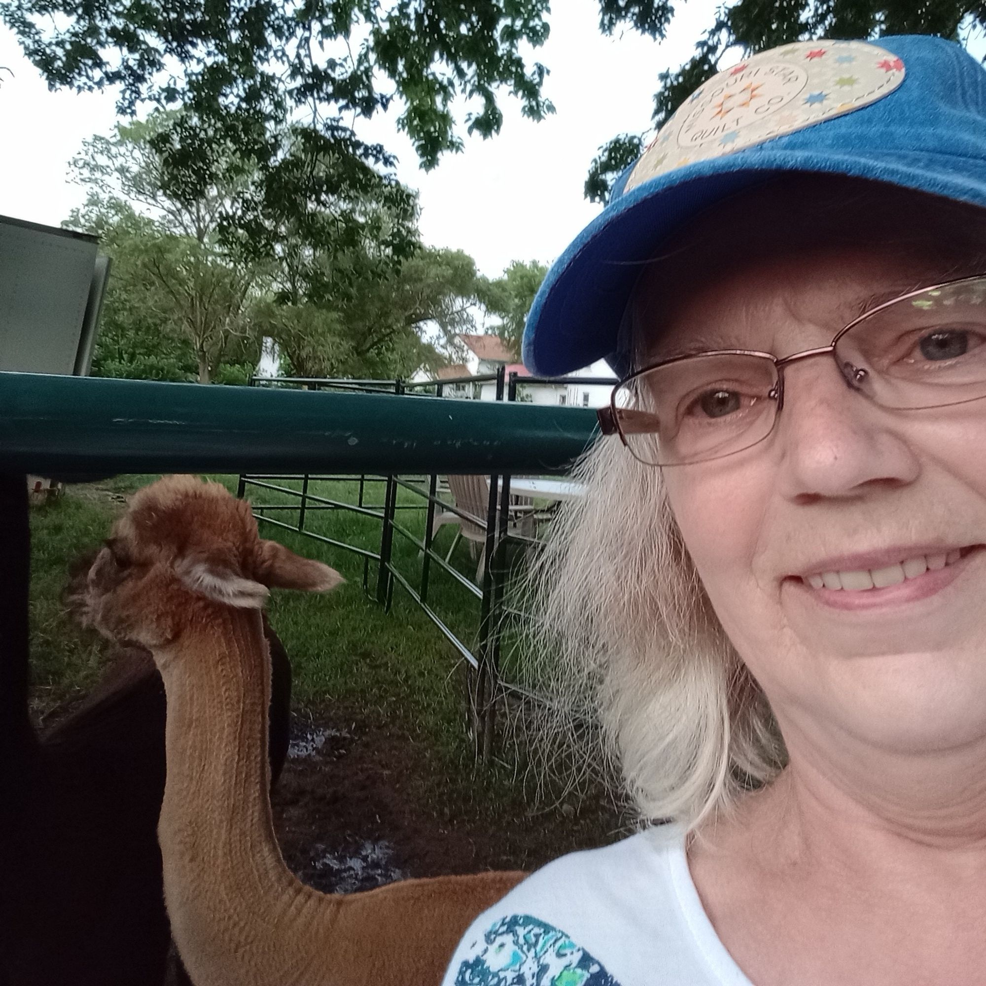 A lady with a blue ball cap on, glasses and standing at the rails where an Alpaca is fenced behind