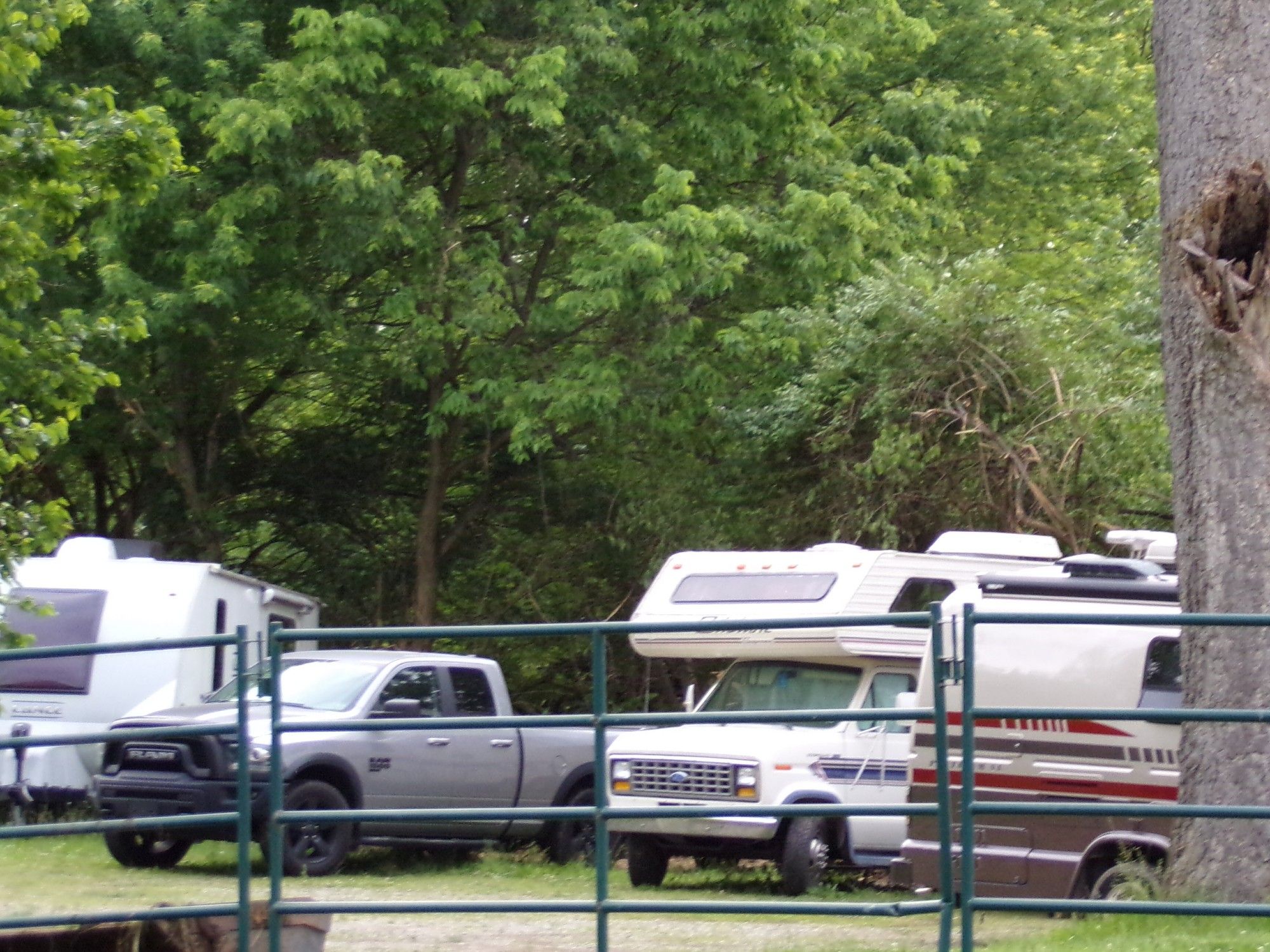 Parked behind fencing, against a treeline, and surrounded by other vehicles, is our old motorhome. It's just a parking spot on the grass