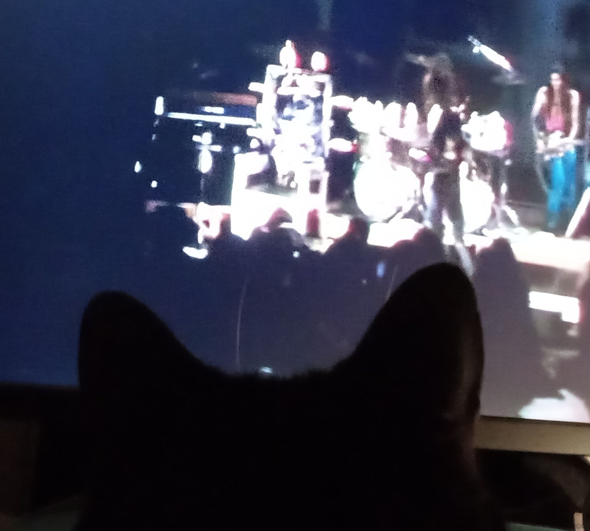 In the dark, Alice Cooper band is performing live on the screen, and the silhouette of the back of the cat's head produces the look of horns.