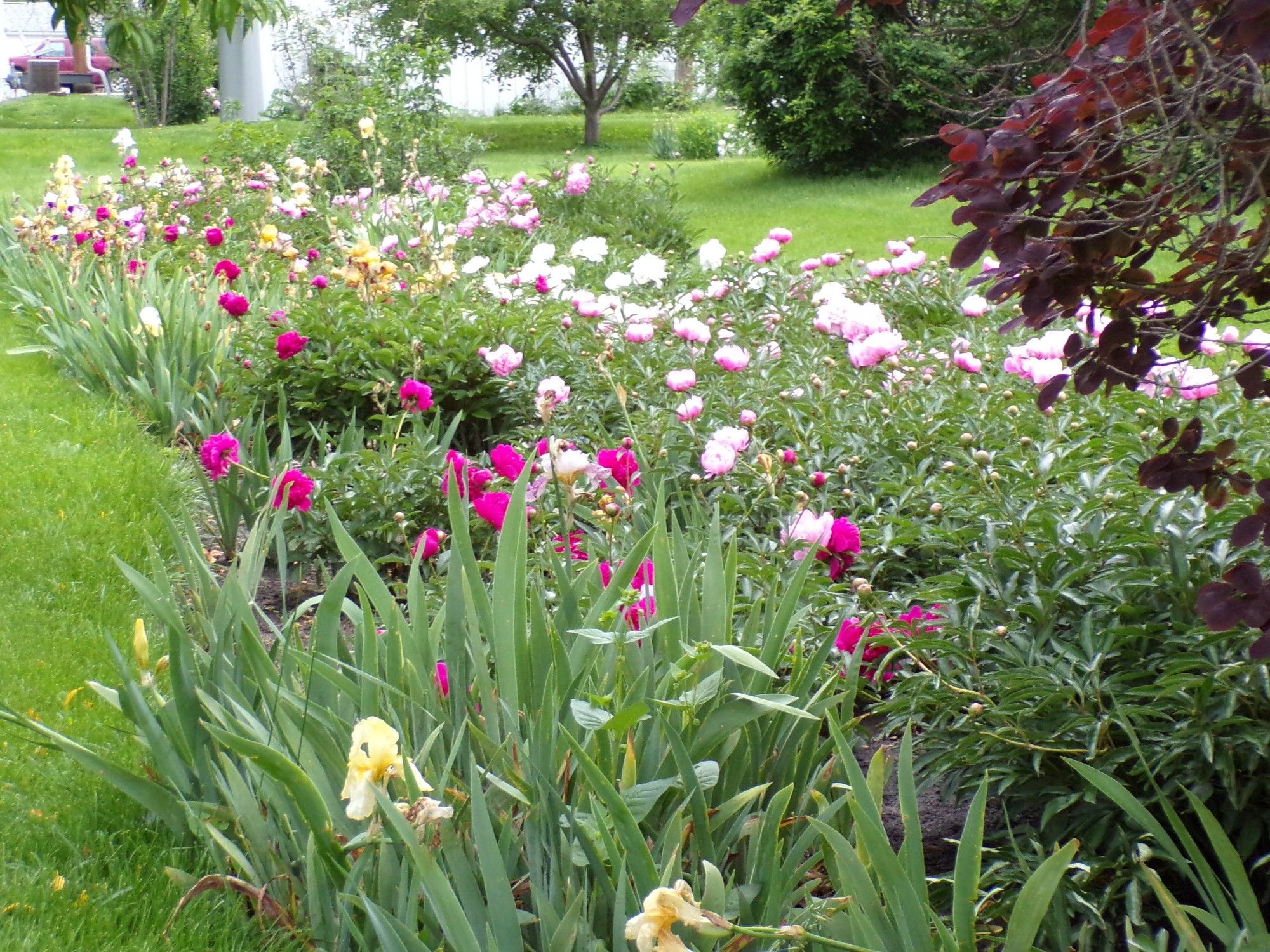 A garden of mixed flowers, many bright flowers are visible along the walk