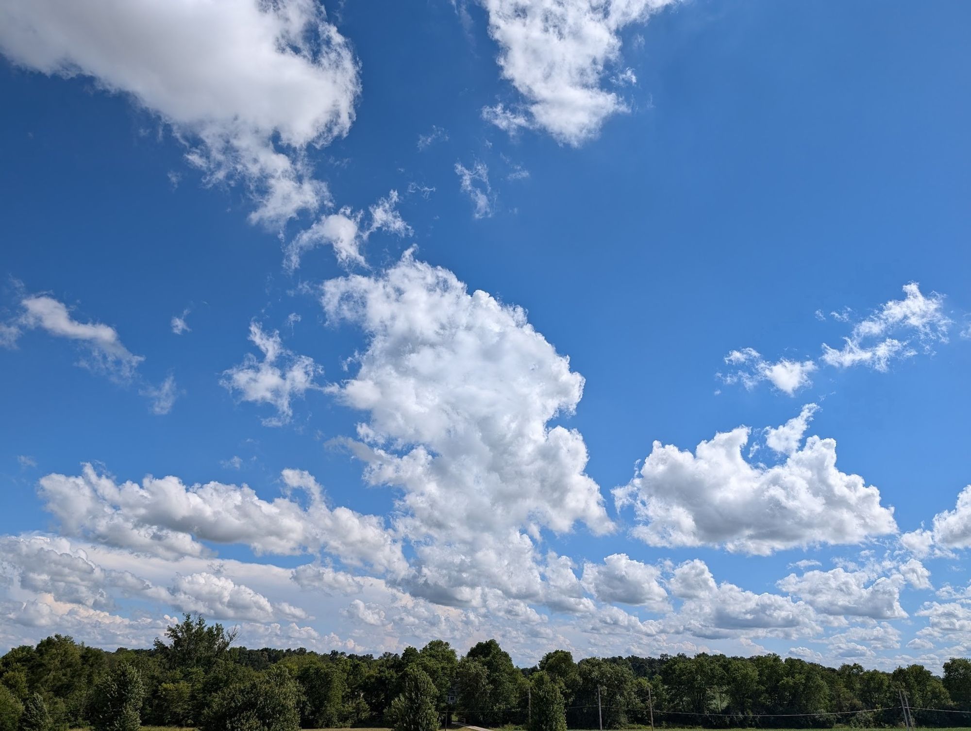 Big white puffy clouds!