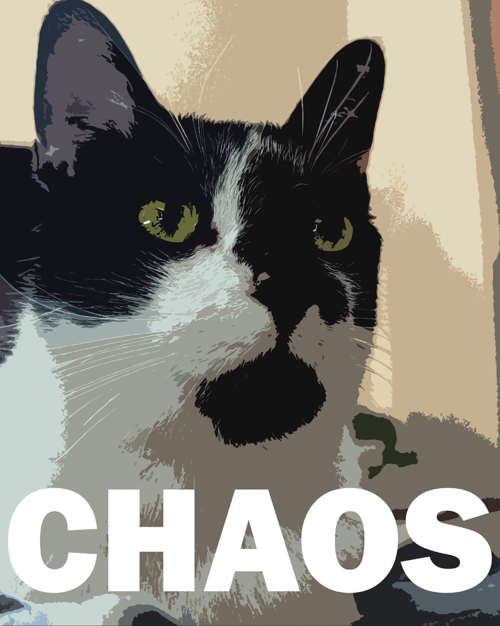 A posterized version of Smudge's picture, with the word "CHAOS" in big bold letters