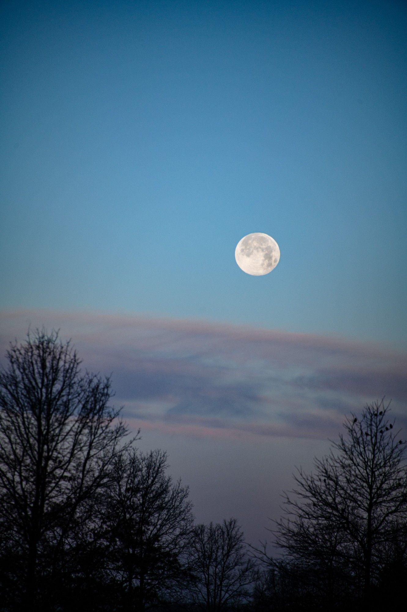 The moon overs above trees and clouds.