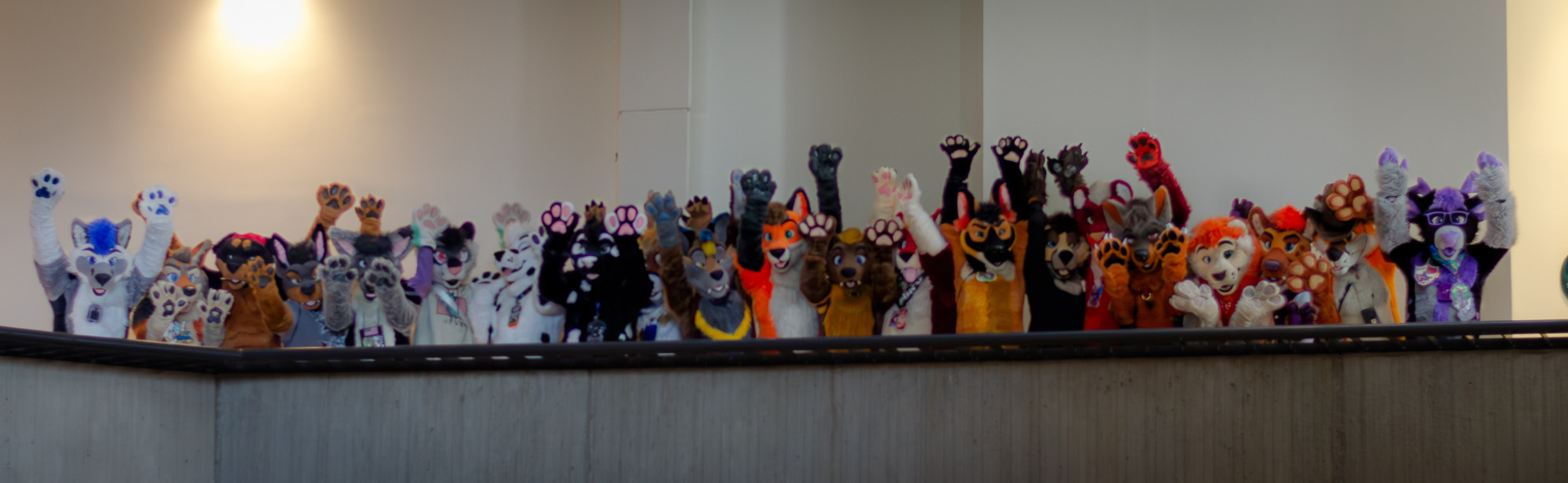 21 fursuiters are seen putting their paws up on a balcony at a hotel