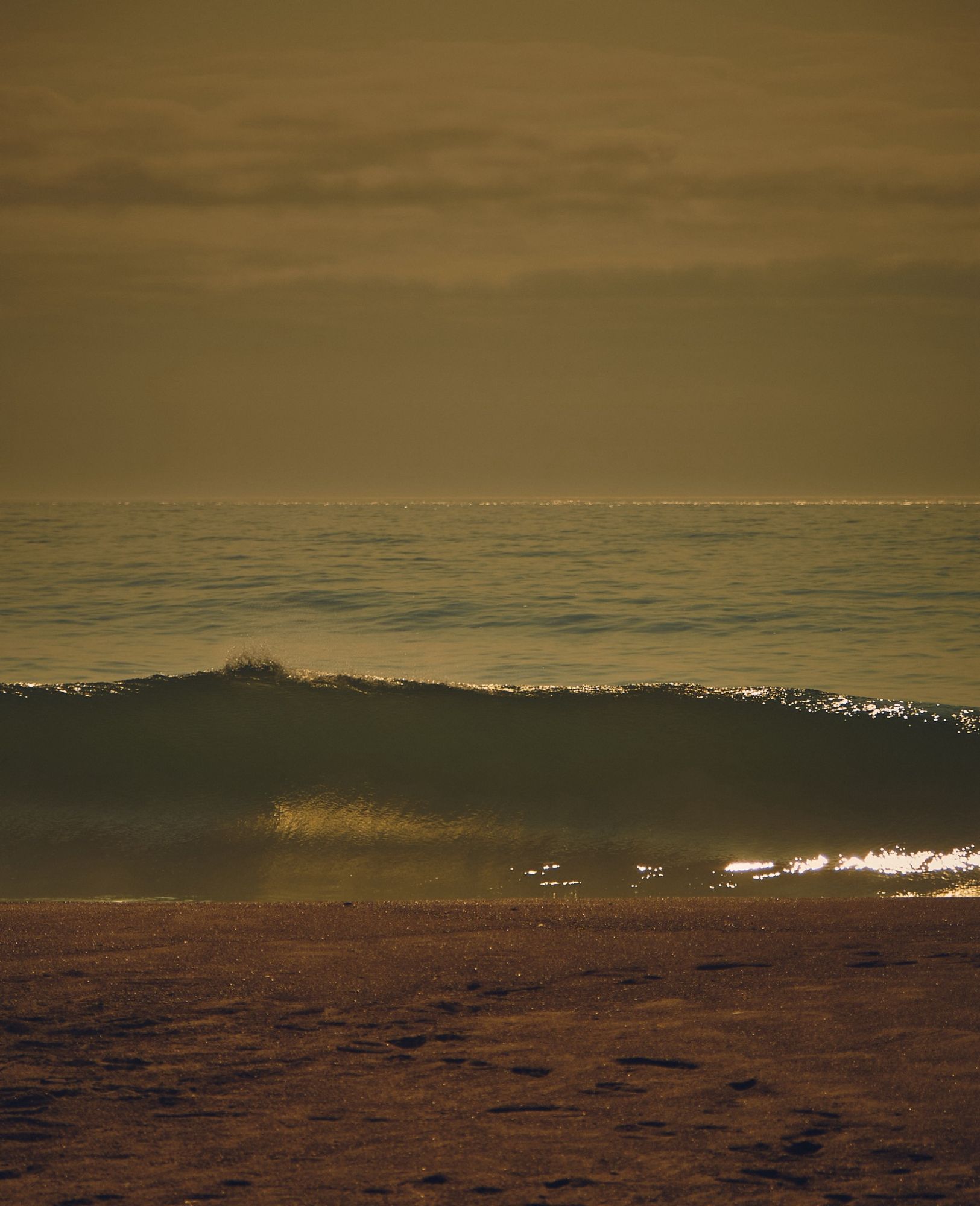 A color photo of a wave creating along a Sandy beach, the early sunset reflecting on the break.