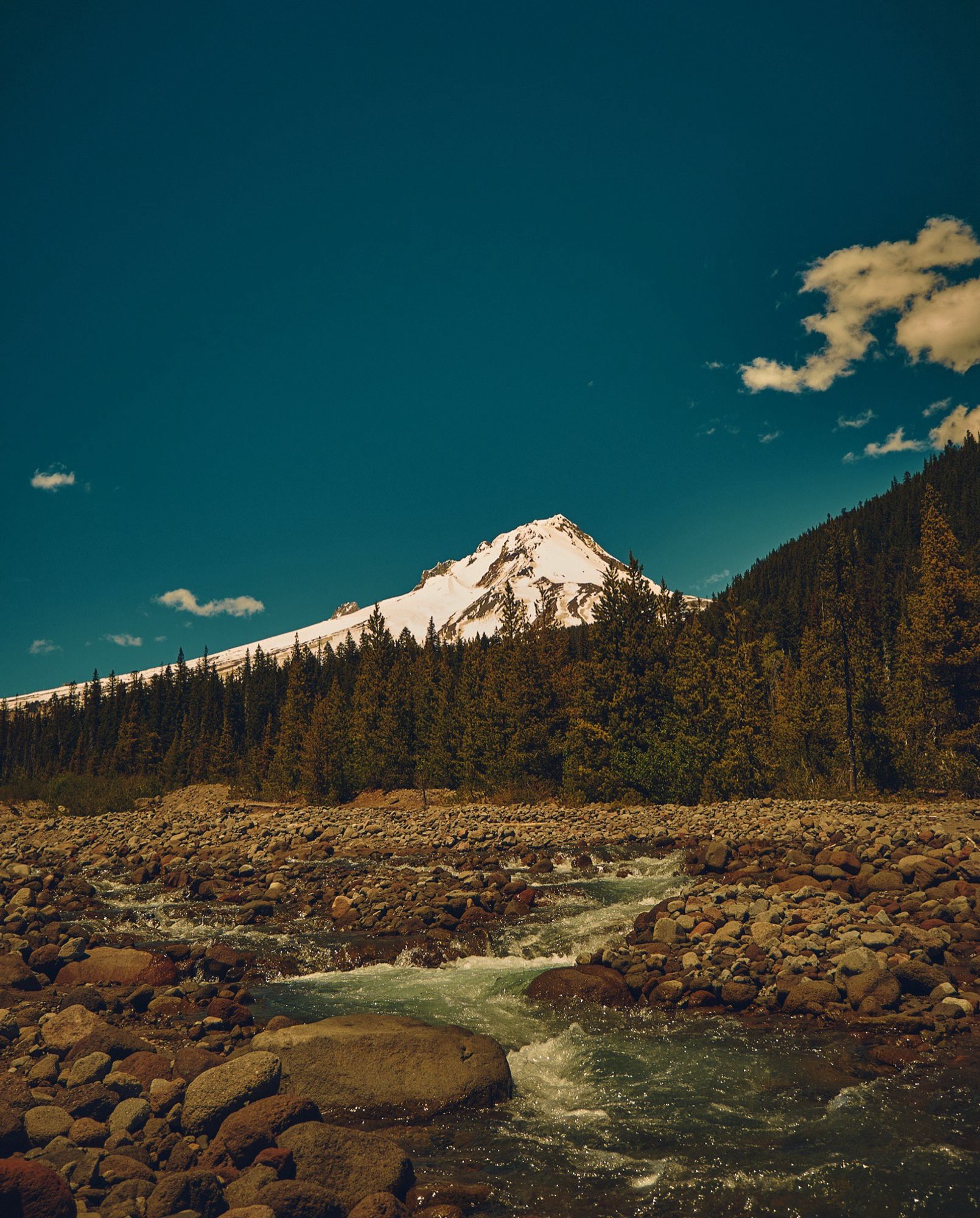 A color photo of the top of Wy’east/Mt. Hood peeking a top a forested hillside, part of the White River streams down into the foreground from the mountain runoff.