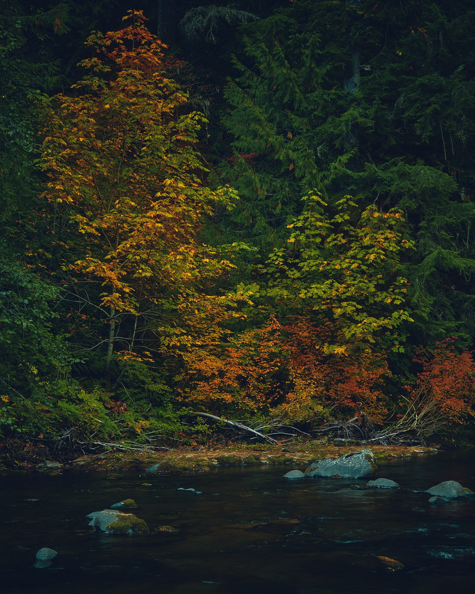 A color photograph of a riverbank with fall foliage on the other side.