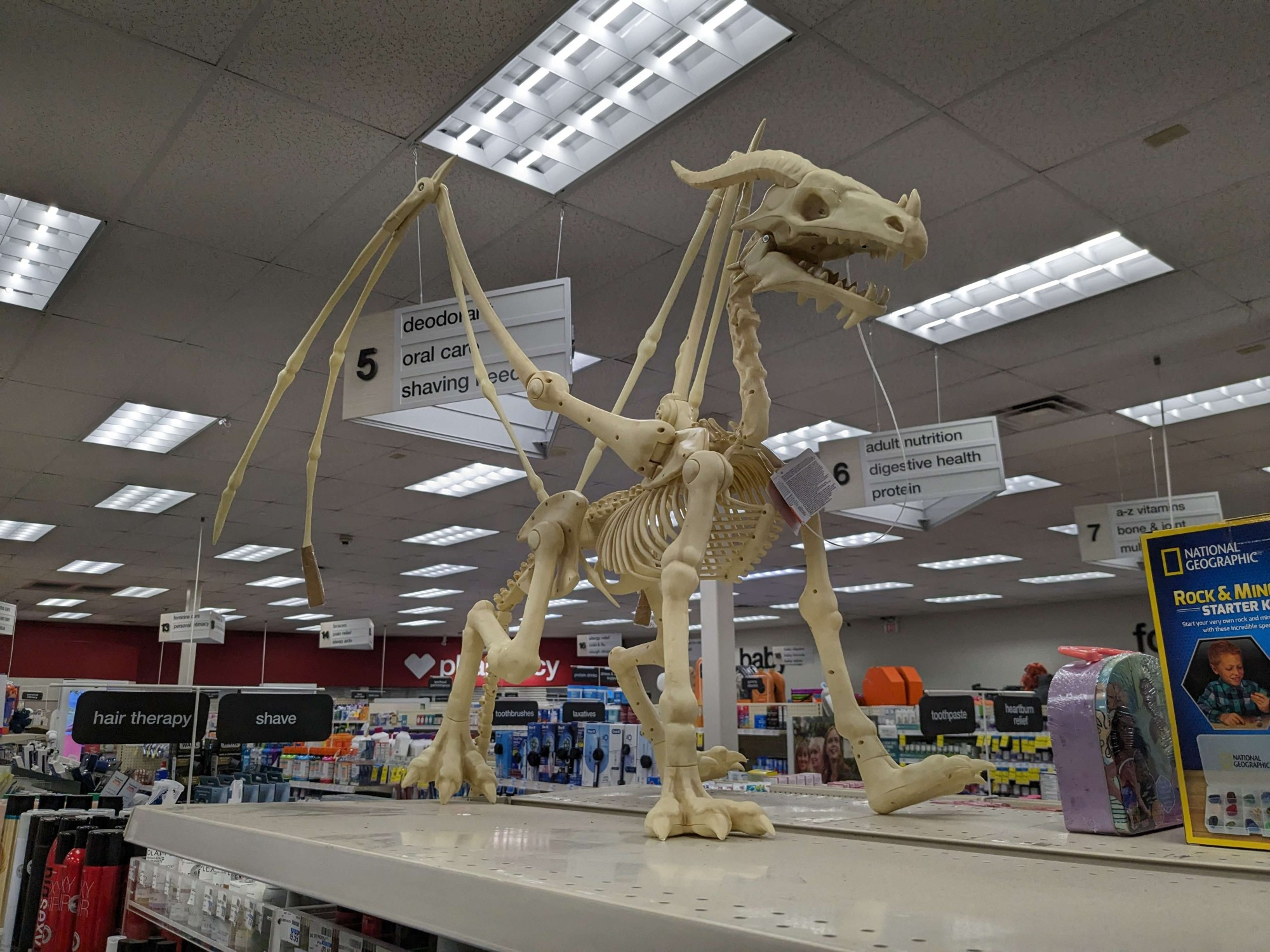 a skeletal dragon halloween prop standing on top of a product shelf in a store