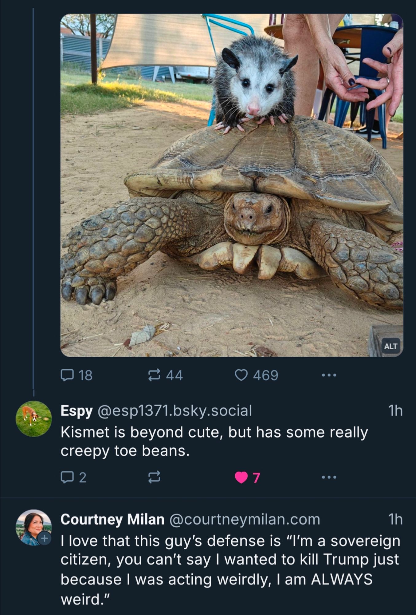 Brief summary- and for that I apologize- there is a photo of a possum on a turtle- they both look mildly pleased- possum has some real long nails- jeez- a thread regarding said possum and then a new POST- entirely unrelated that I thought was related saying "I love that this guy's defense is "I'm a sovereign citizen, you can't say I wanted to kill Trump because I was acting weirdly, I am ALWAYS weird." and I'm so tired I thought for at least a whole minute that this was regarding the indefensible position of the possum." 