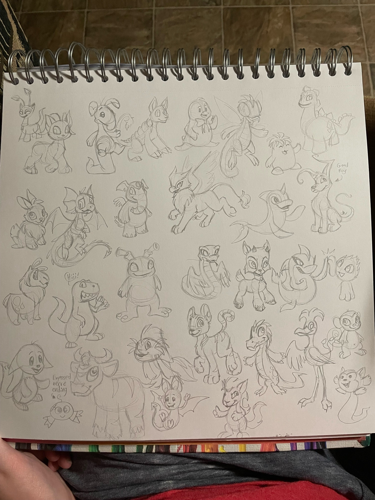 Page of pencil sketches of neopets. The neopets included are from left to right, up to down: aisha, acara, blumaroo, bori, bruce, buzz, chia, chomby, cybunny, draik, elephante, eyrie, flotsam, gelert, gnorbu, grarrl, grundo, hissi, ixi, jetsam, jubjub, kacheek, kiko, kau, koi, korbat, kyrii, krawk, lenny, mynci, and meerca.