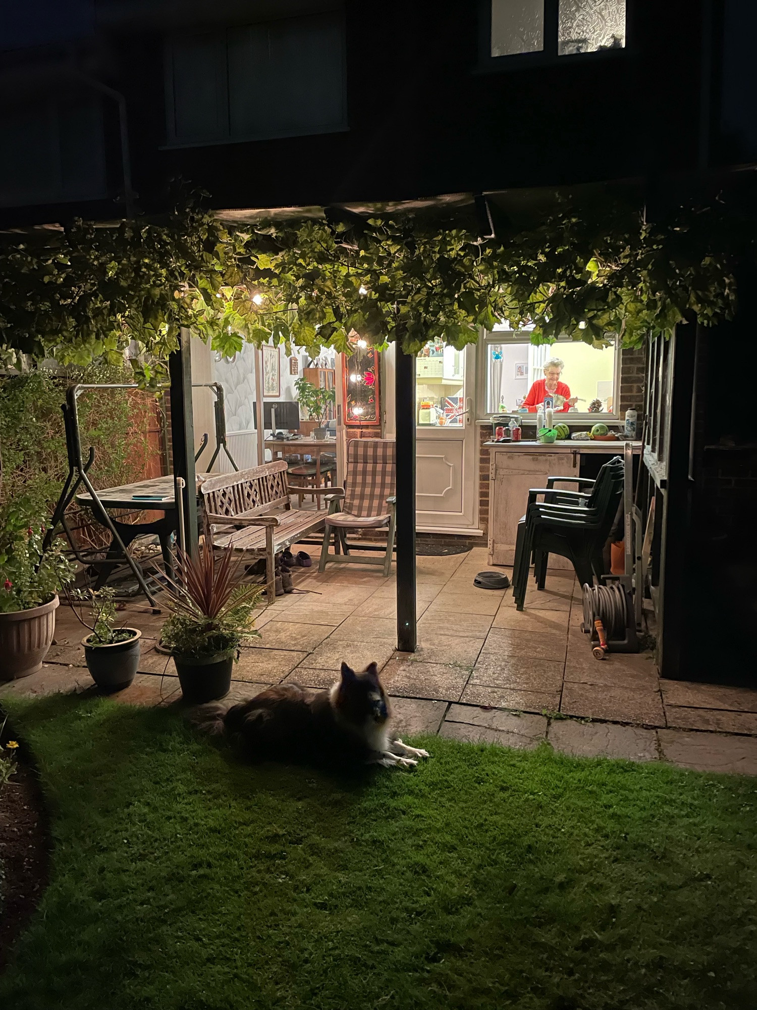 The back of a terraced house at night. There is a lean-to on the back covering a patio, it is roofed with a mature grapevine, with fairy lights entwined in it. Sitting just at the end of a patio is a small fluffy black and white dog. The house is brightly lit, and a woman is washing up at the kitchen window. Long shadows are cast by flowerpots at the end of the patio, and outside of the lean-to is darkness. The warm glow of the house is gentle and inviting.