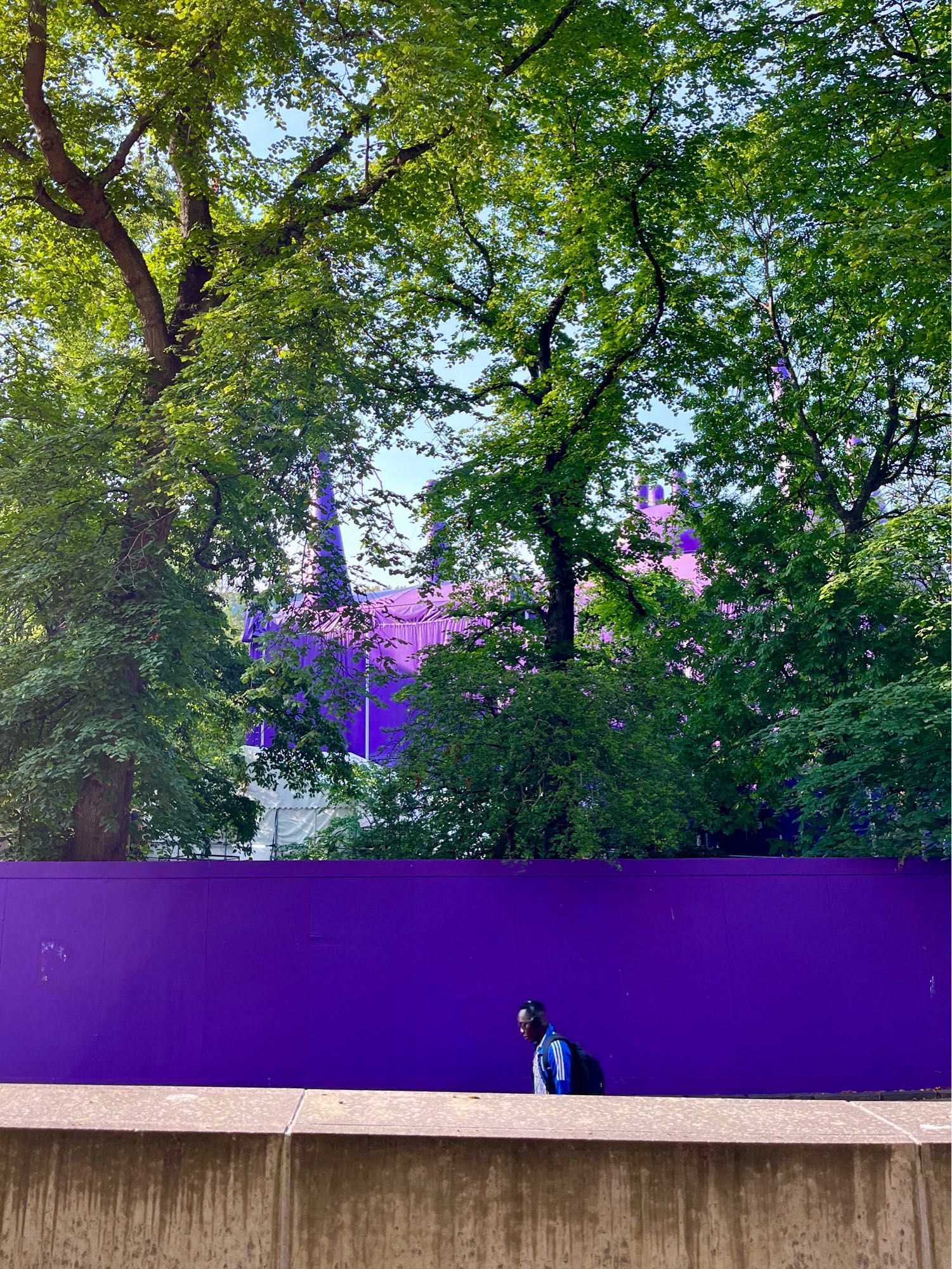 Shot of a purple tent glimpsed through the very green trees with a man in a blue top walking along parallel to some purple boarding along a concrete walkway