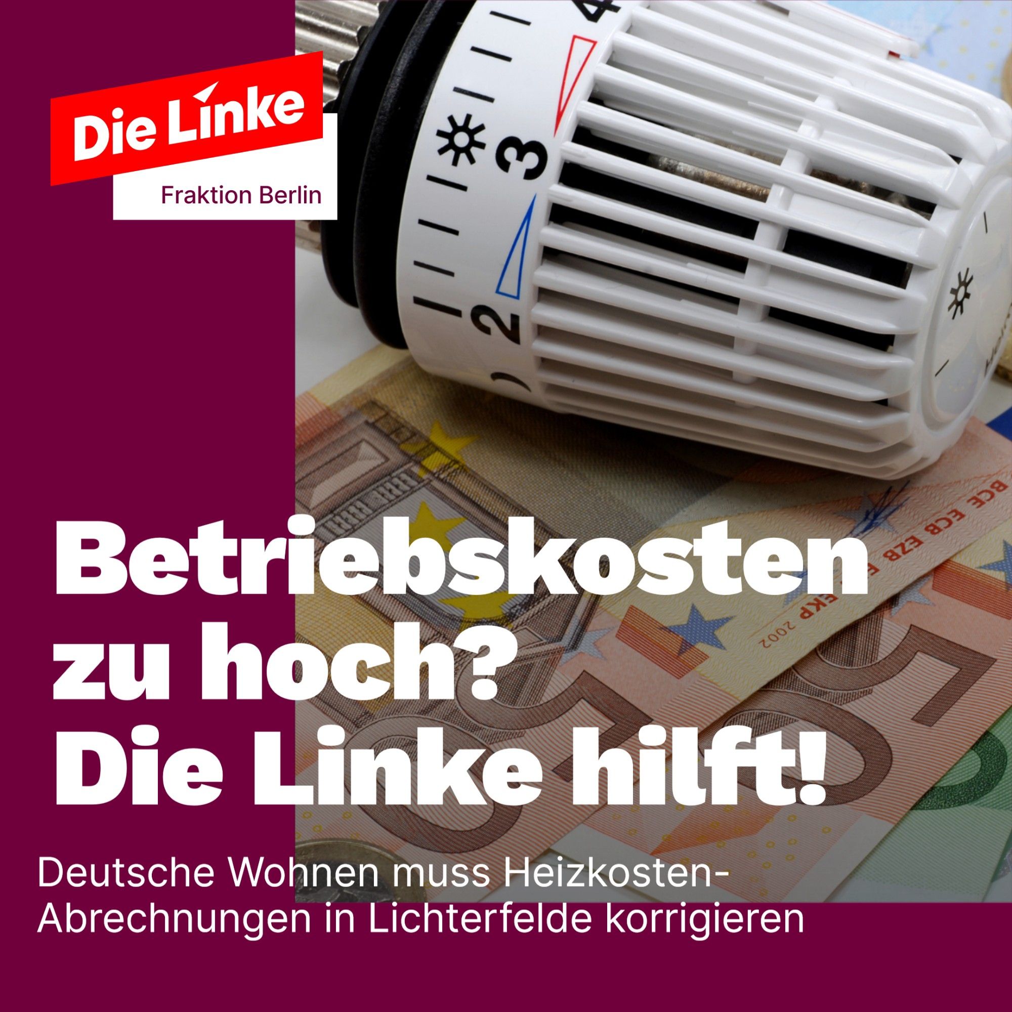 Regler von Heizkörper über mehreren Geldscheinen, dazu der Begleittext: "Betriebskosten zu hoch? Die Linke hilft! Deutsche Wohnen muss Heizkosten-Abrechnungen in Lichterfelde korrigieren"