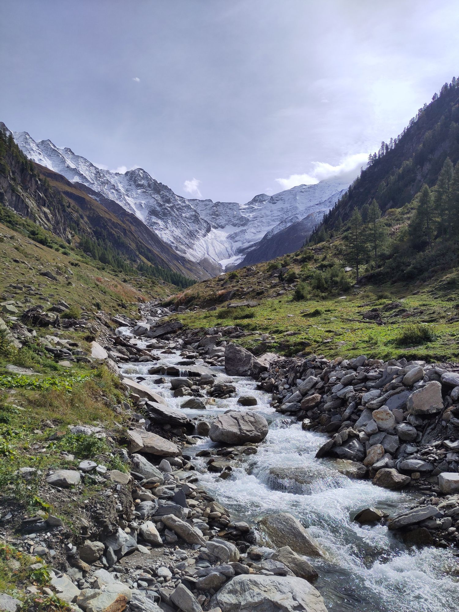 A wild mountain river in its bed full of boulders of different sizes, with snow-capped mountains in the distance.